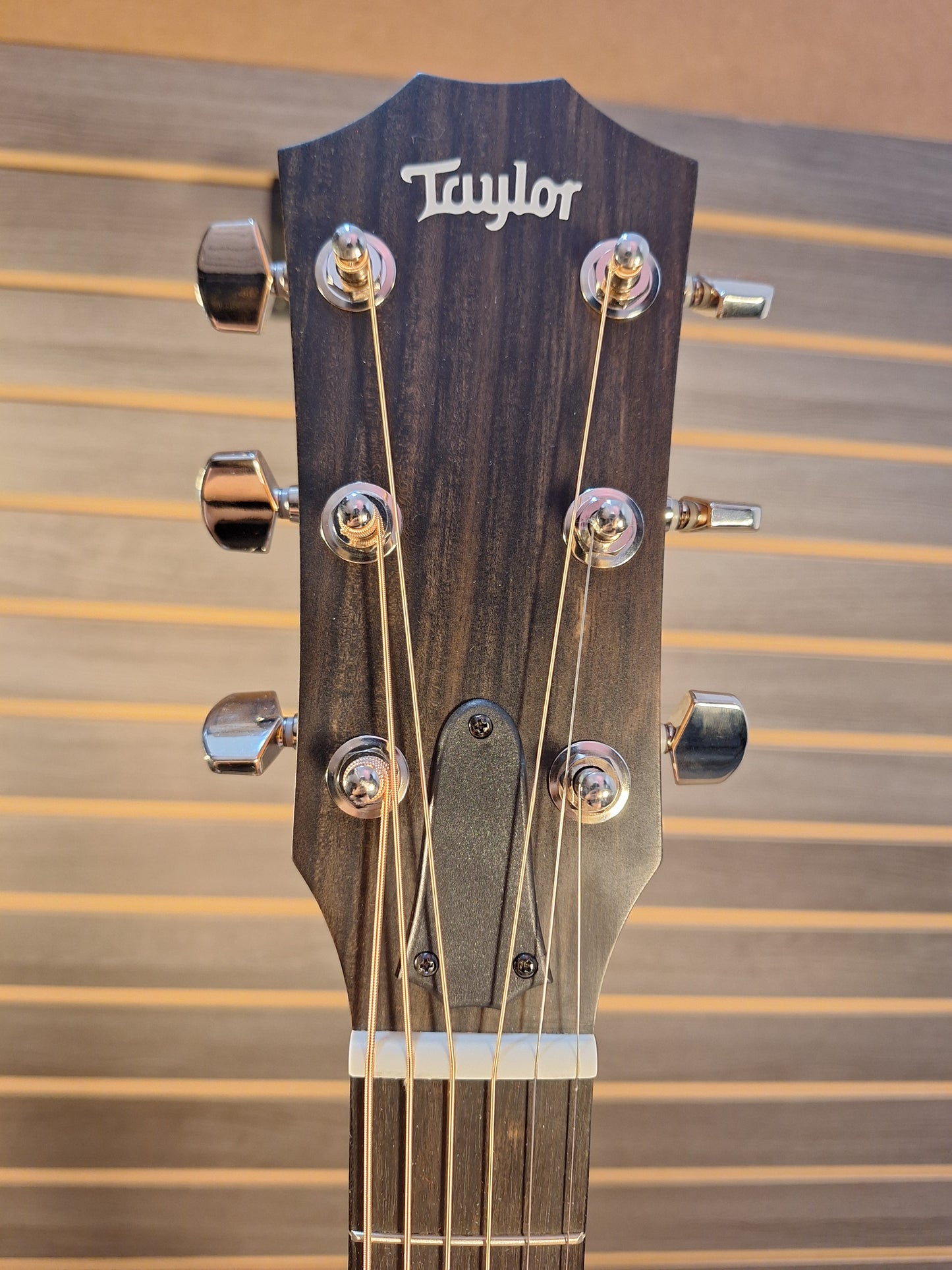 Taylor 214ce Plus Acoustic Electric Guitar
