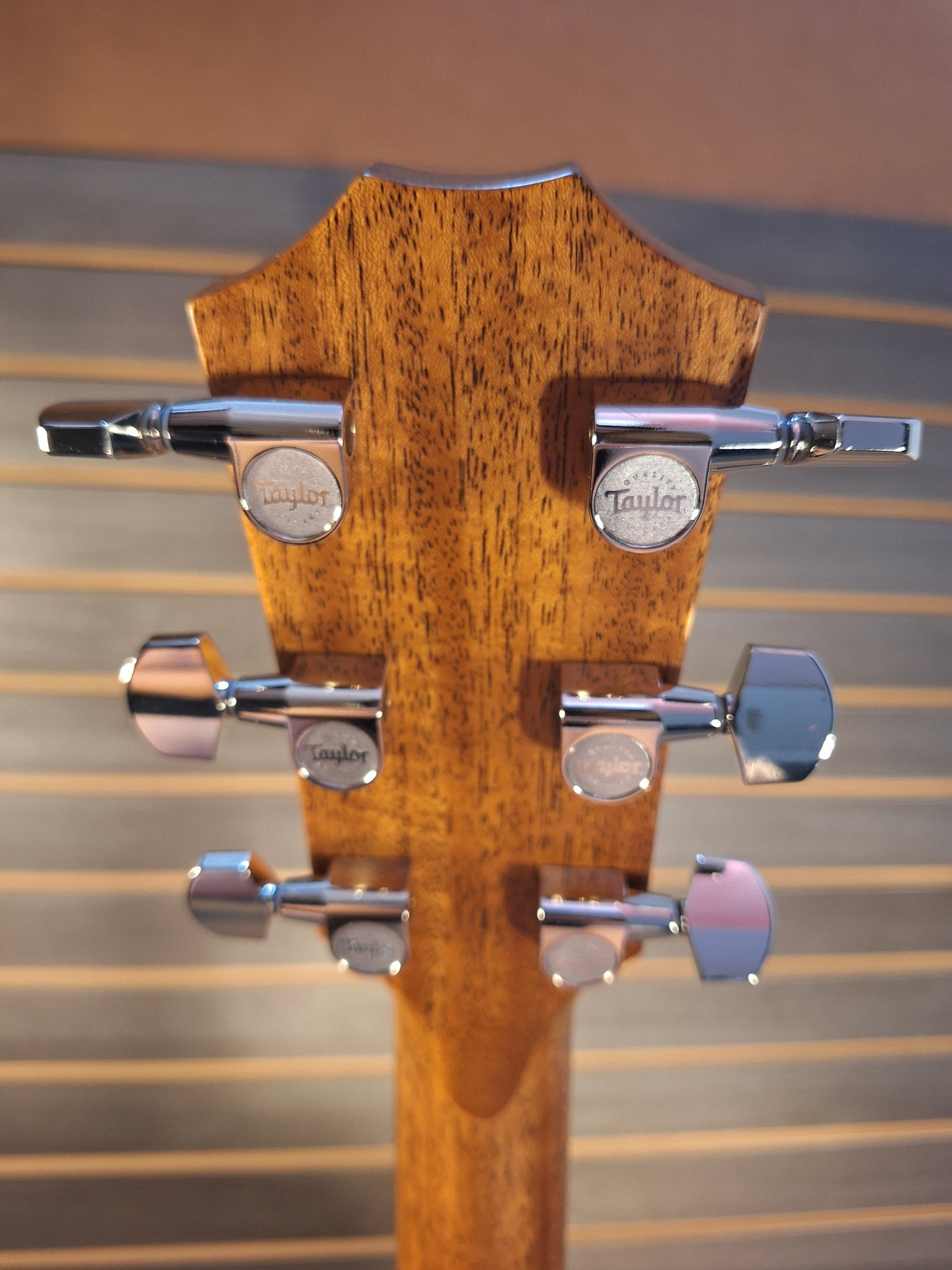 Taylor 314ce Studio Sapele/Sitka With Natural Top Acoustic Electric Guitar