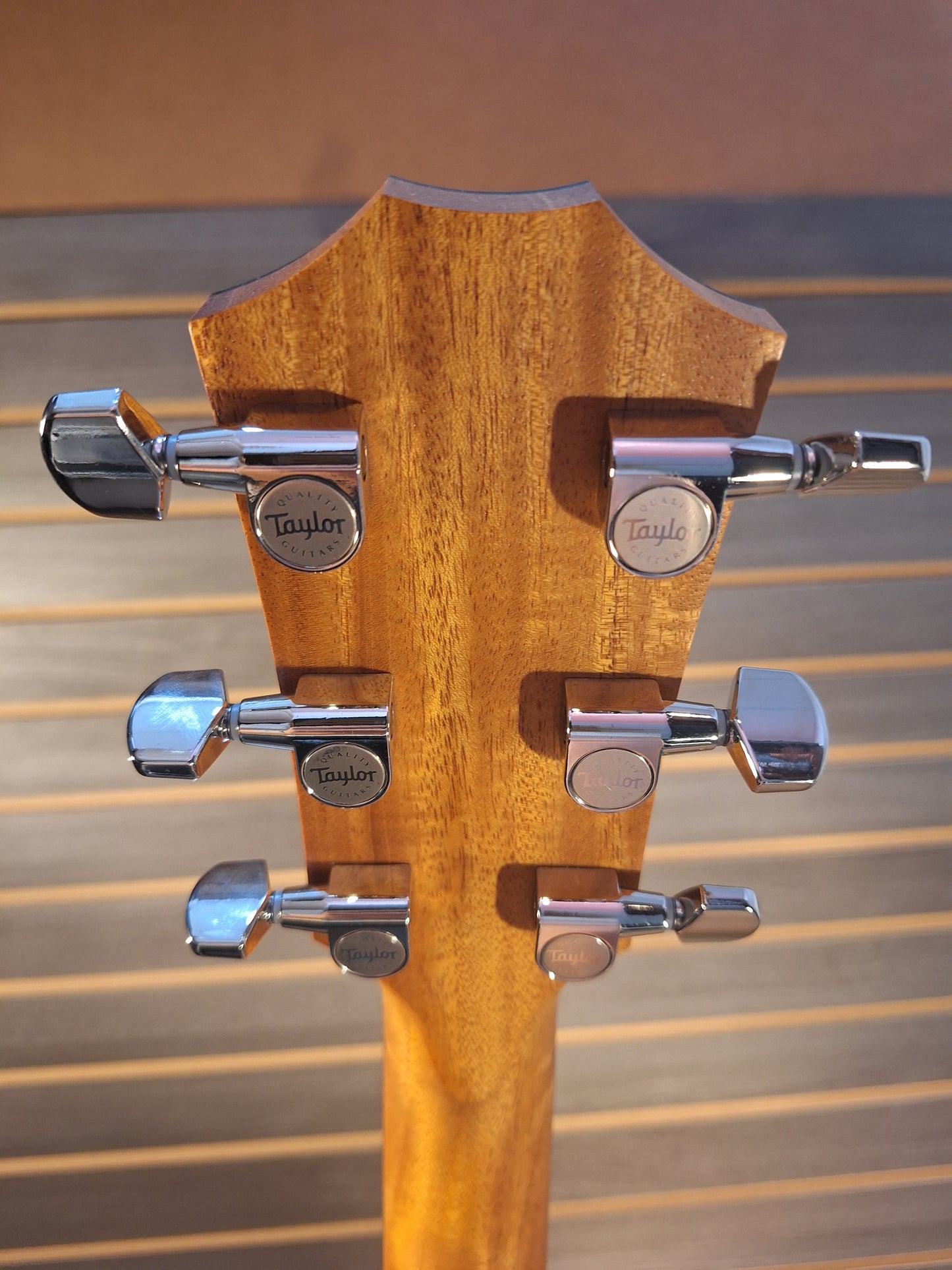 Taylor 217e-SB Plus Acoustic/Electric Guitar