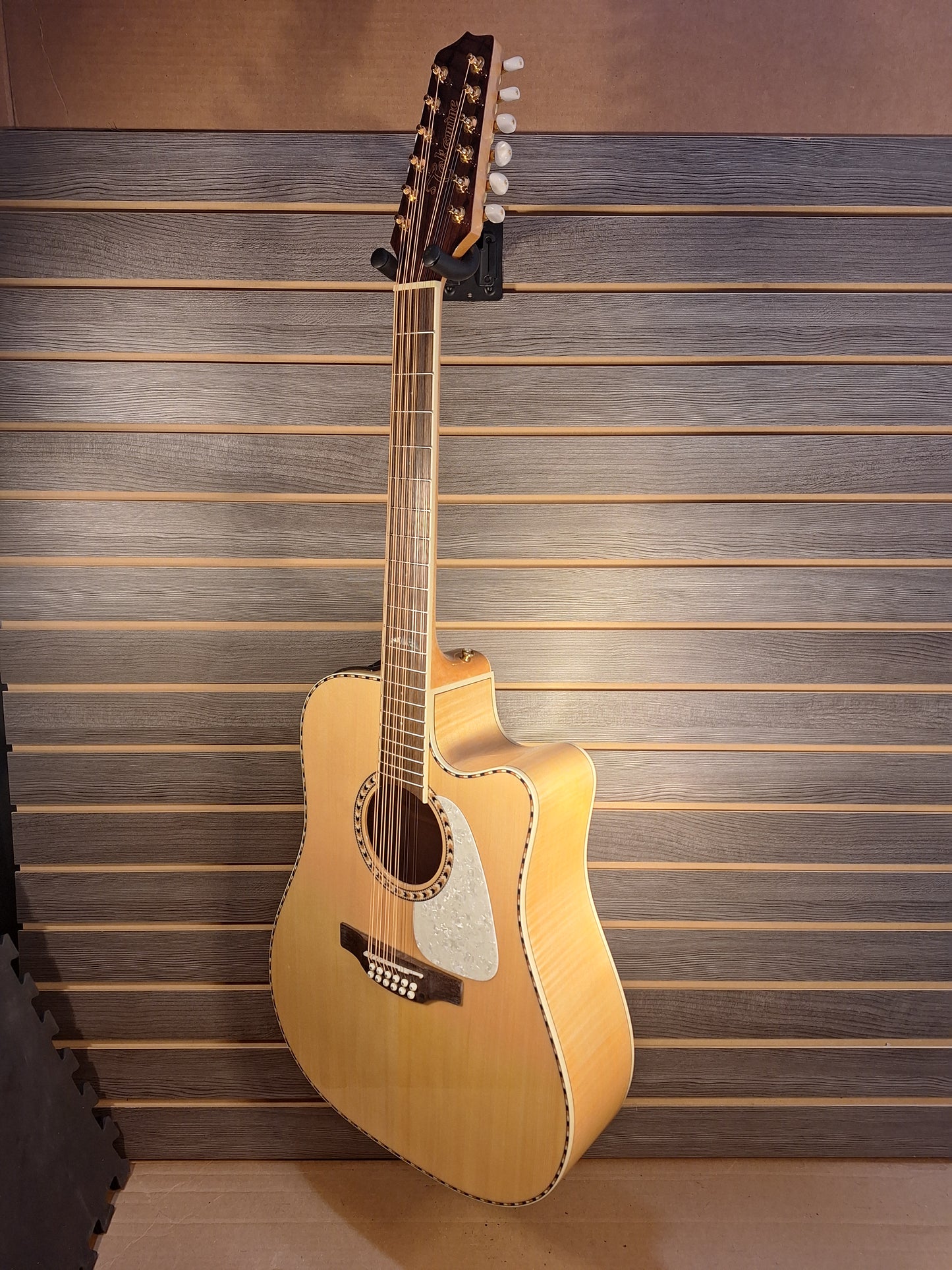 Takamine GD74CE-12U Natural With Gig Bag