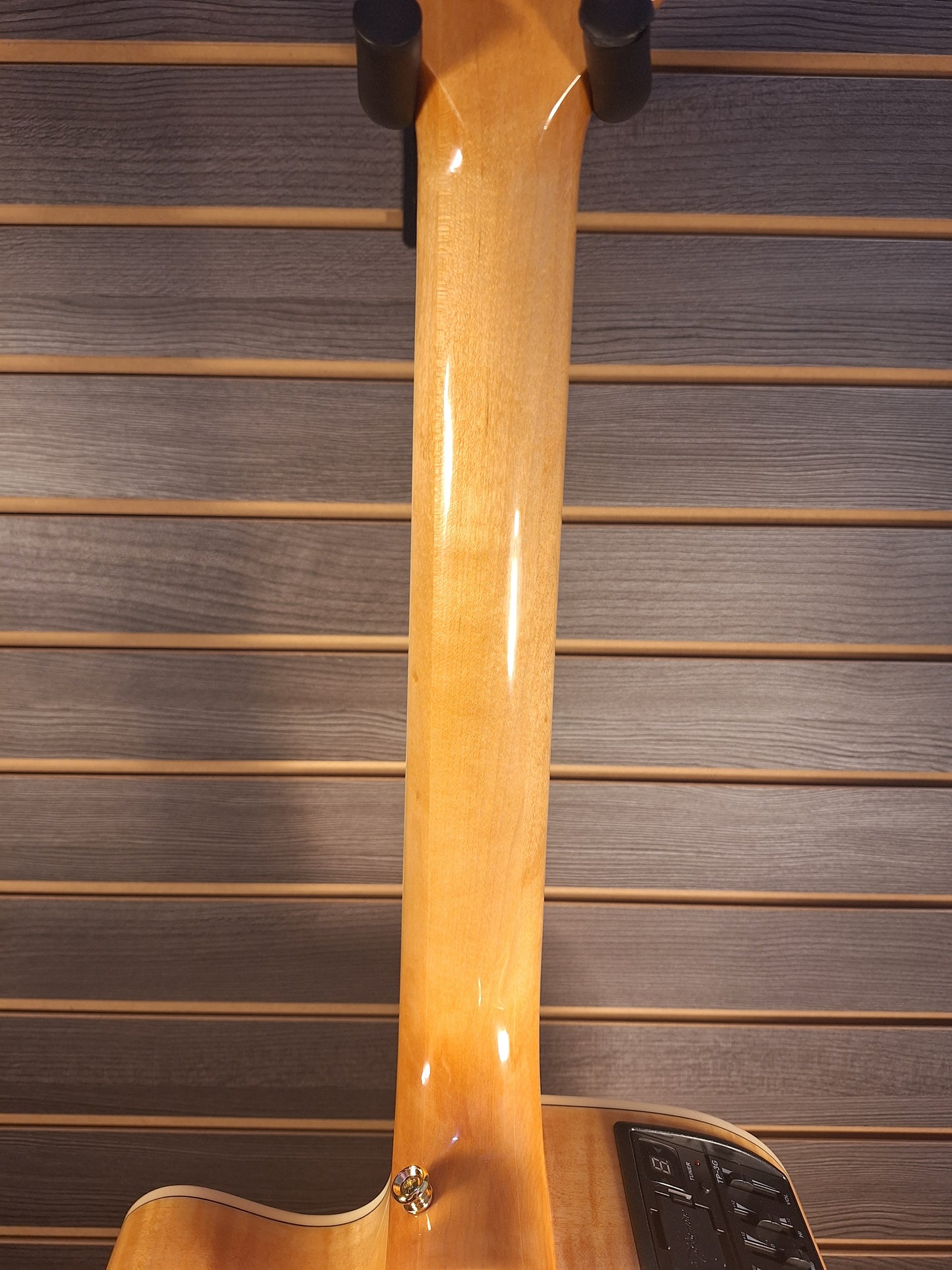 Takamine GD74CE-12U Natural With Gig Bag