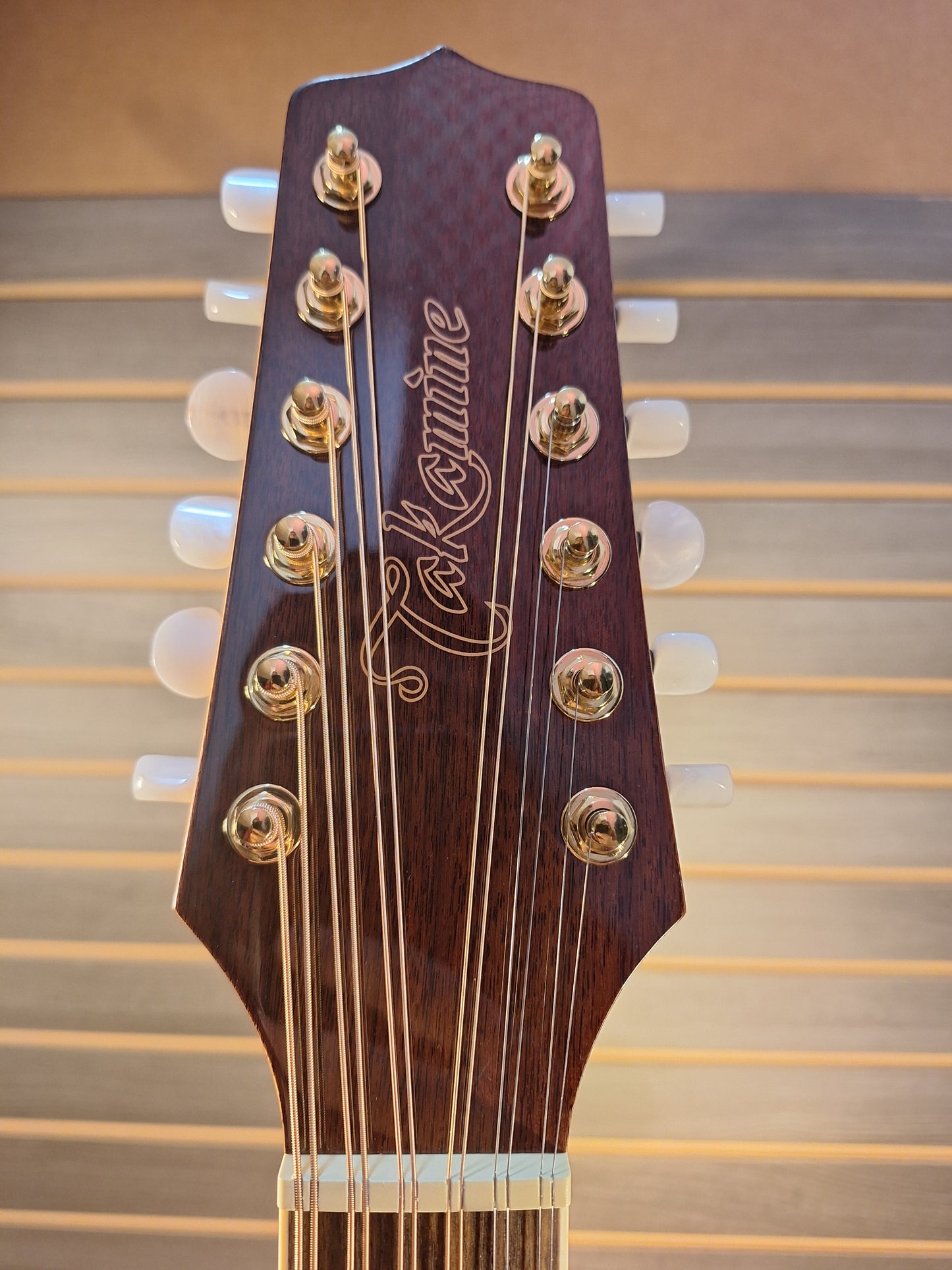 Takamine GD74CE-12U Natural With Gig Bag