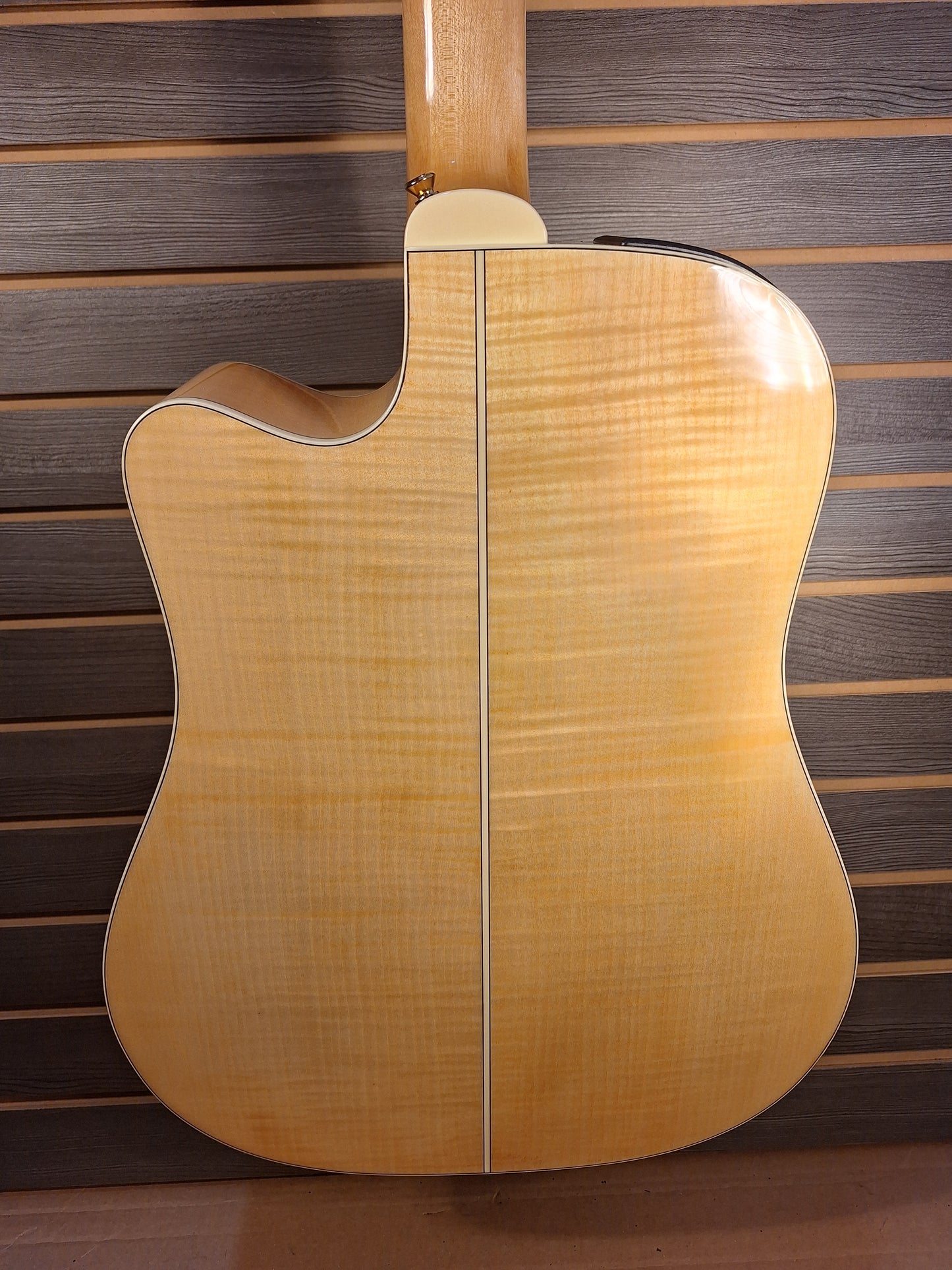 Takamine GD74CE-12U Natural With Gig Bag