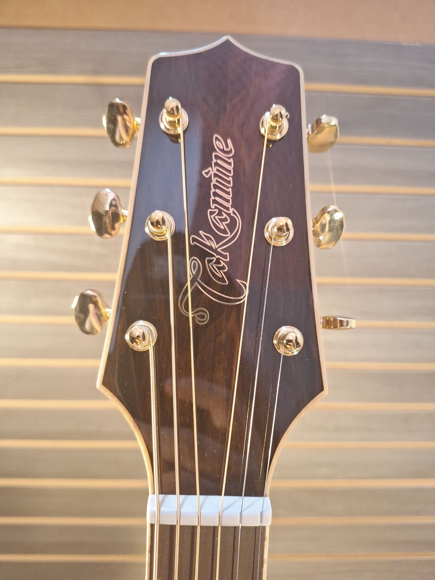 Takamine GN90CE-ZC NAT Acoustic Electric Guitar with Premium Gig Bag