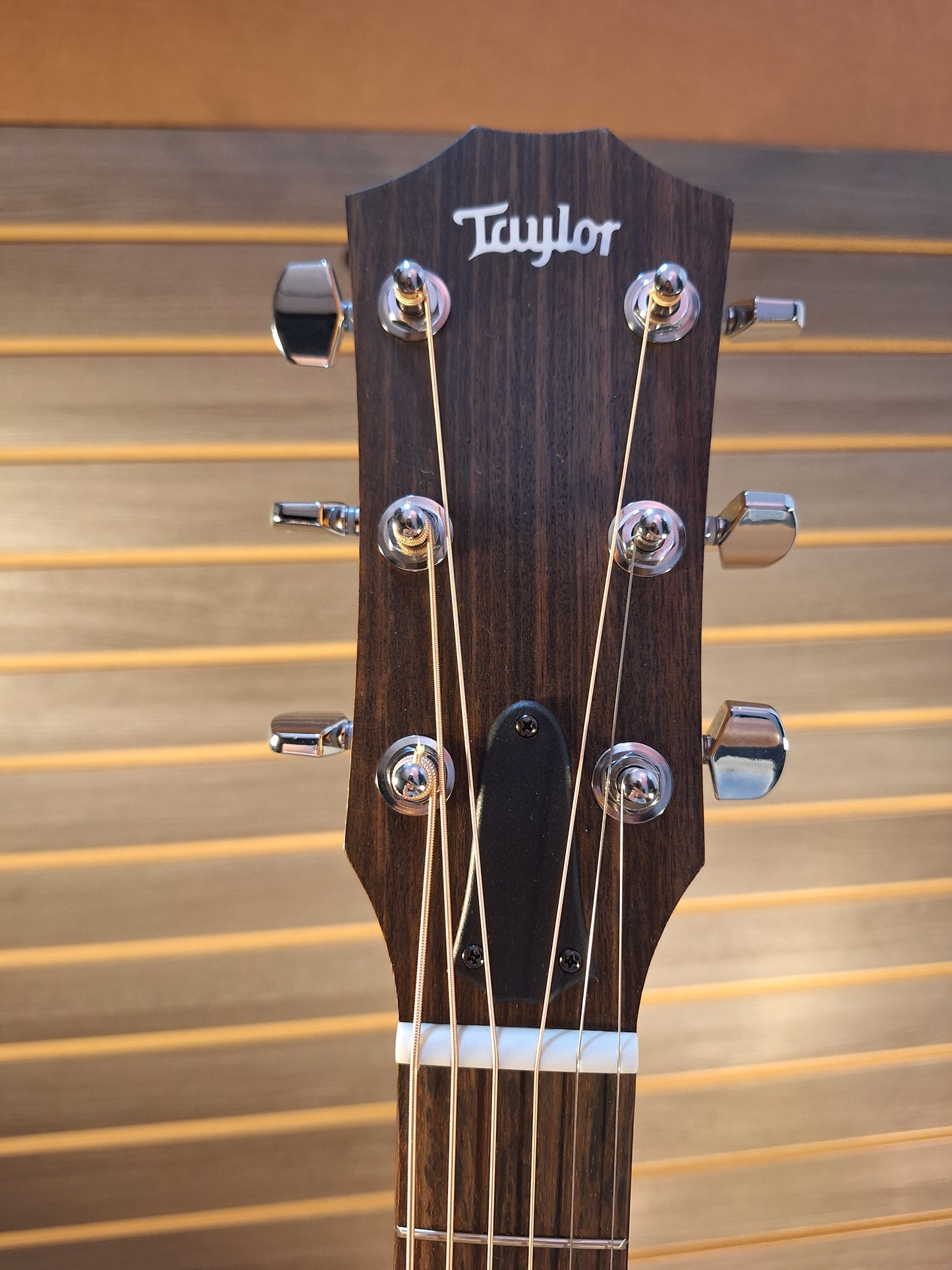 Taylor 110ce Acoustic/Electric Guitar
