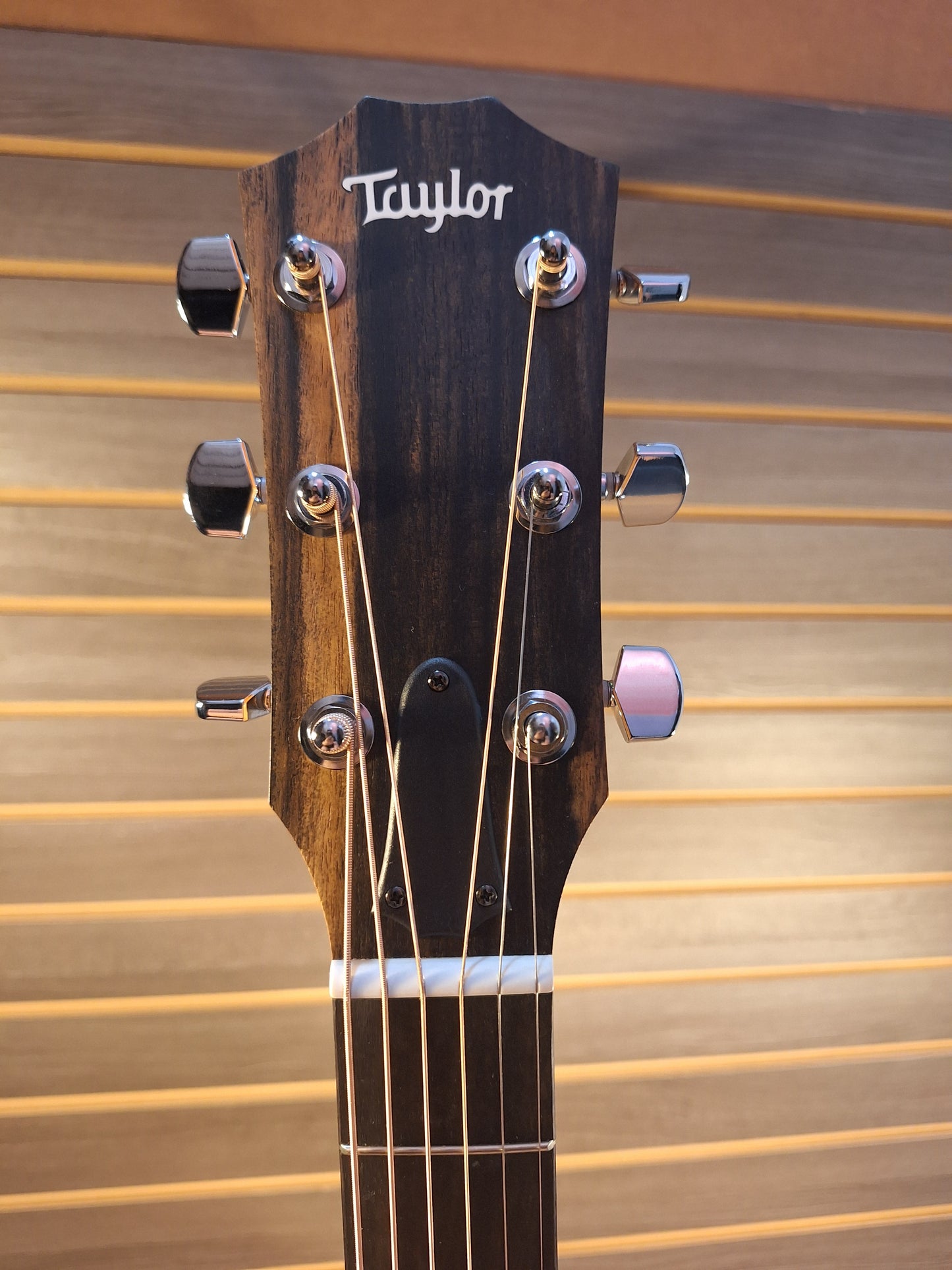 Taylor 212ce Acoustic/Electric Guitar
