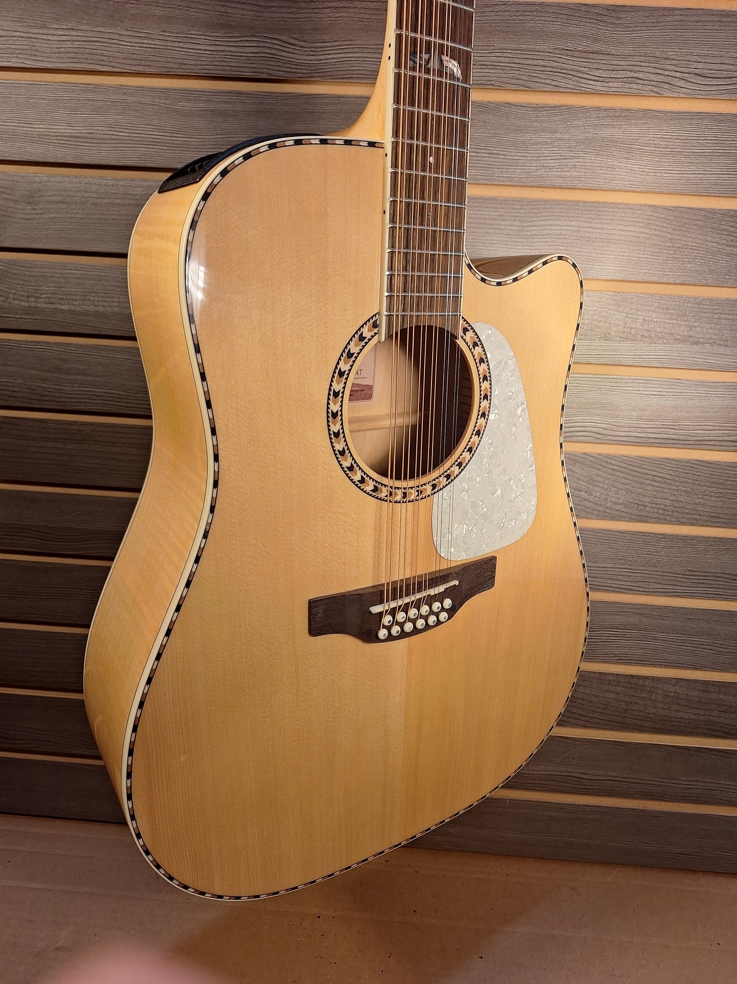 Takamine GD74CE-12U Natural With Gig Bag