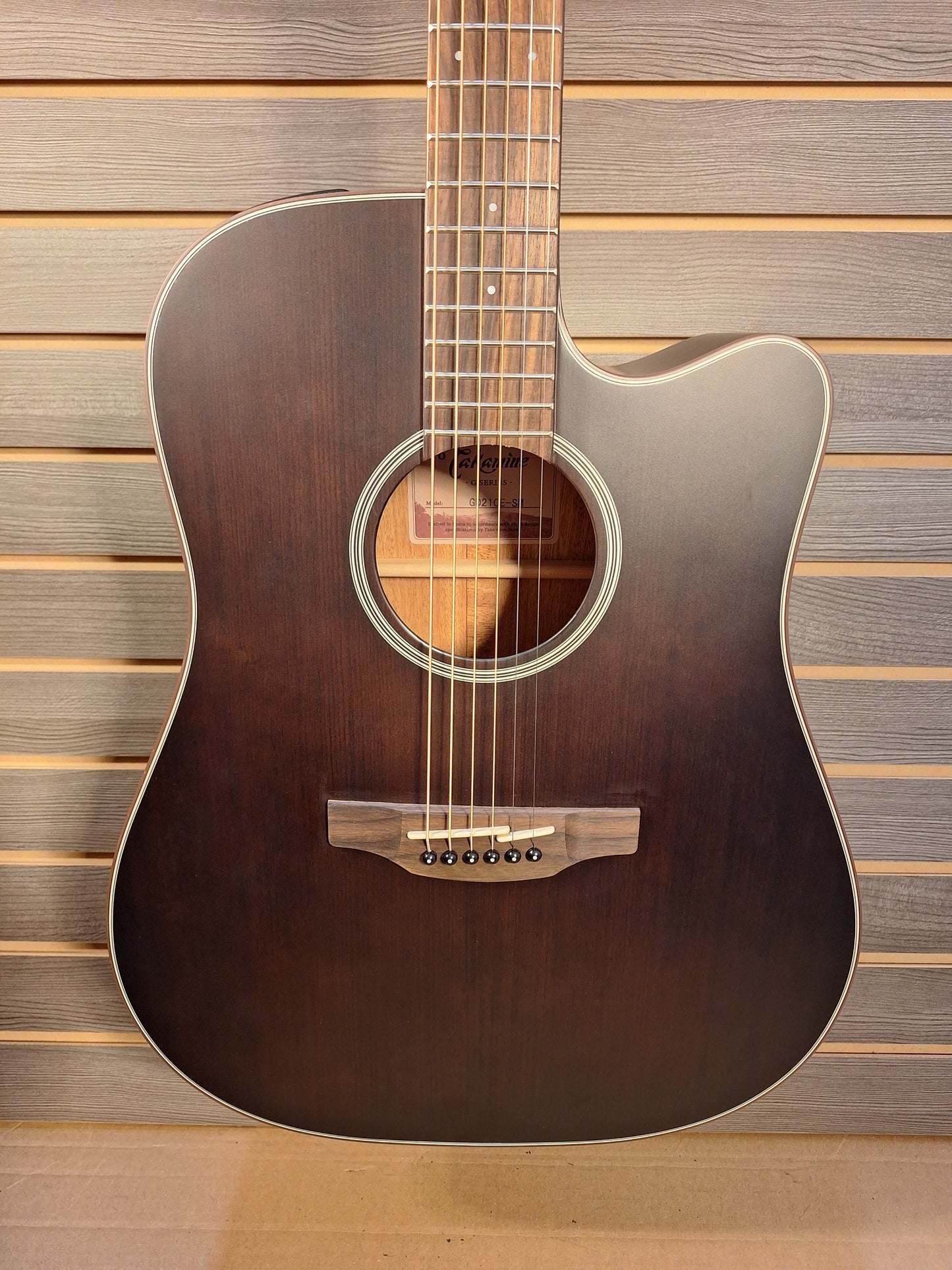 Takamine GD21CE SM G Series