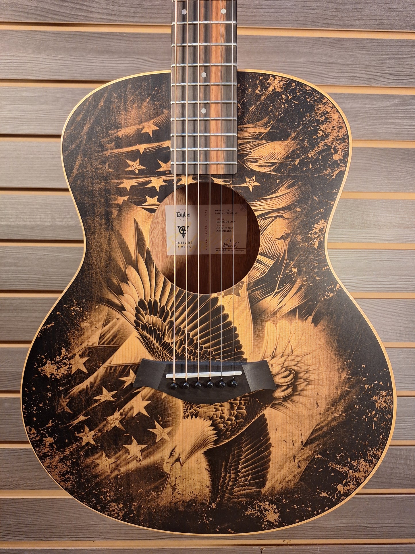 Taylor GS Mini Special Edition G4V Americana #5169