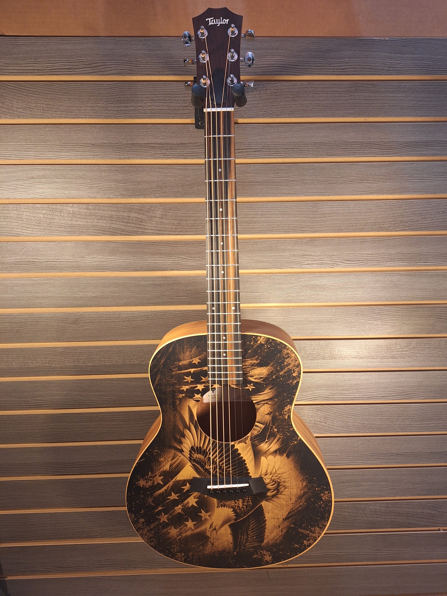 Taylor GS Mini Special Edition G4V Americana #5169