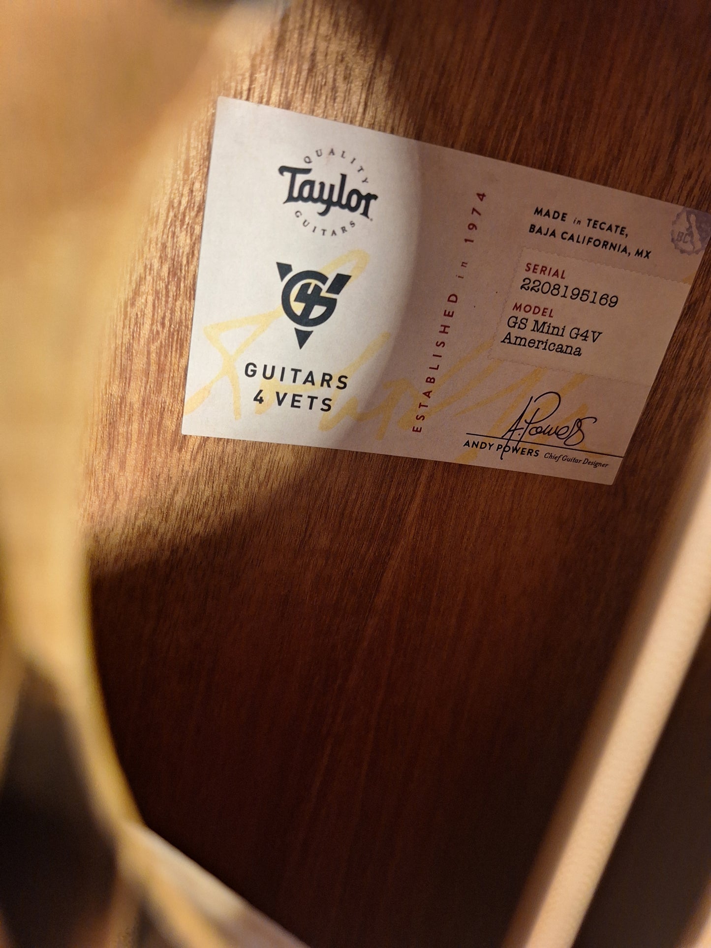 Taylor GS Mini Special Edition G4V Americana #5169