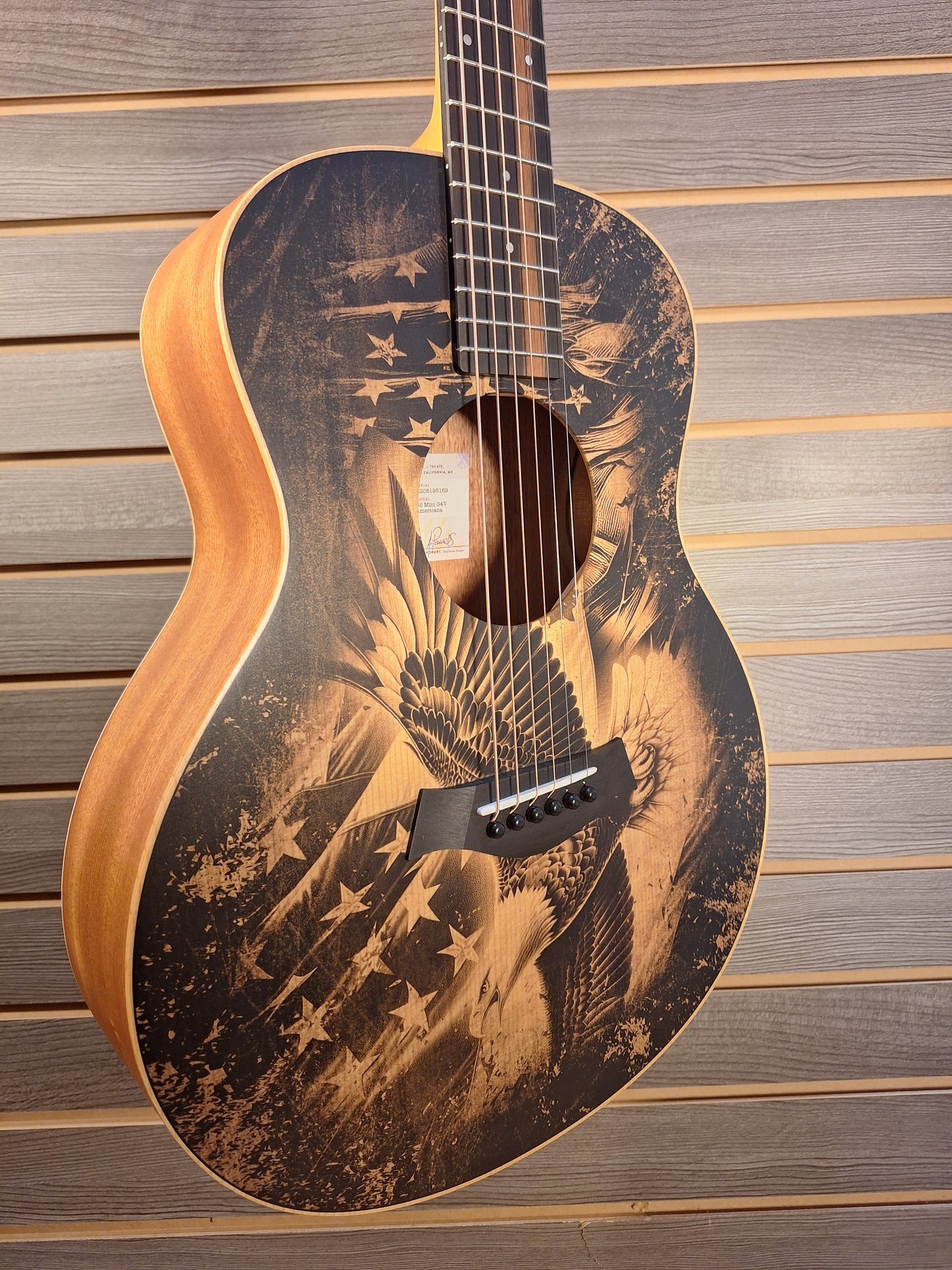 Taylor GS Mini Special Edition G4V Americana #5169