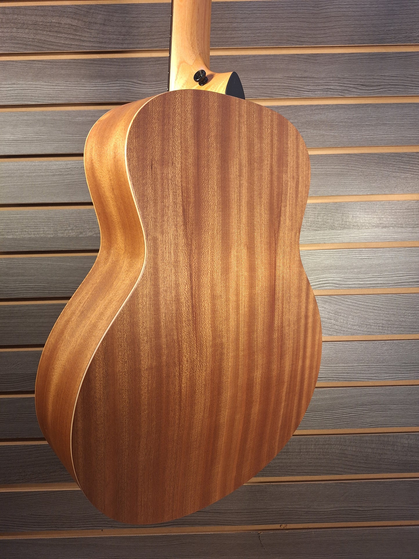 Taylor GS Mini Special Edition G4V Americana #5169