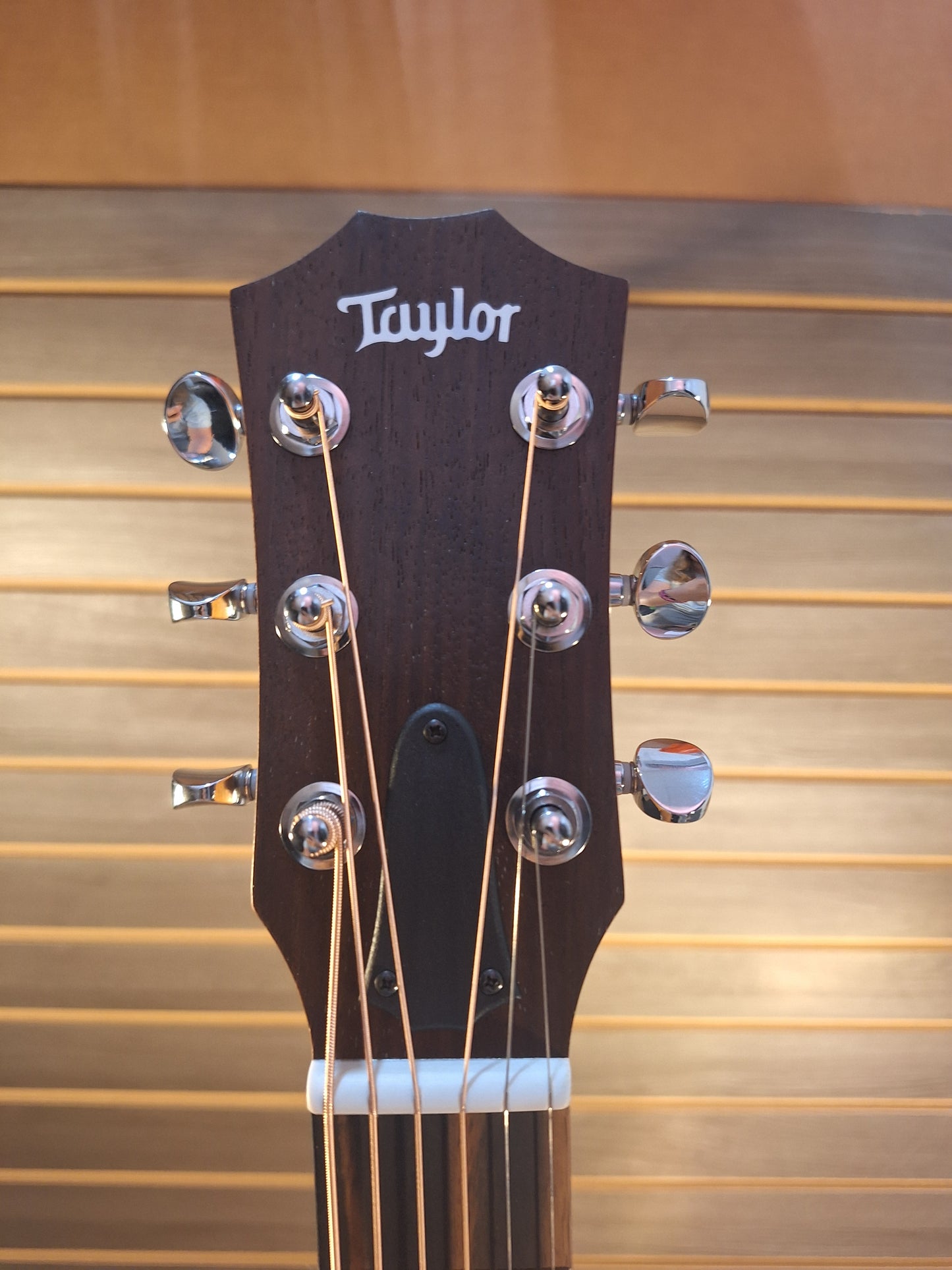 Taylor GS Mini Special Edition G4V Americana #5169