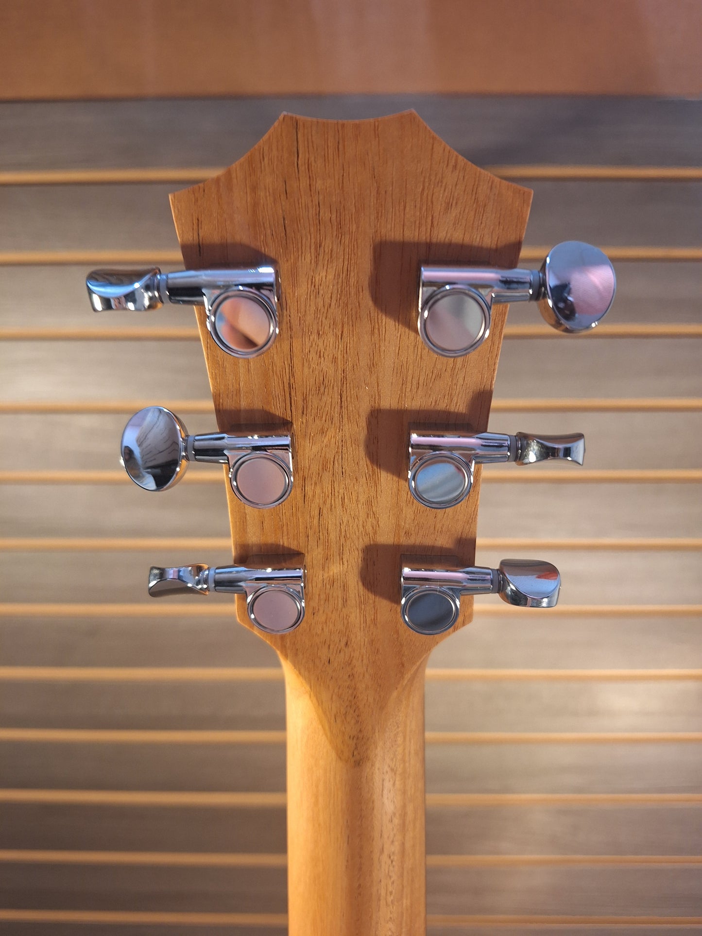 Taylor GS Mini Special Edition G4V Americana #5169