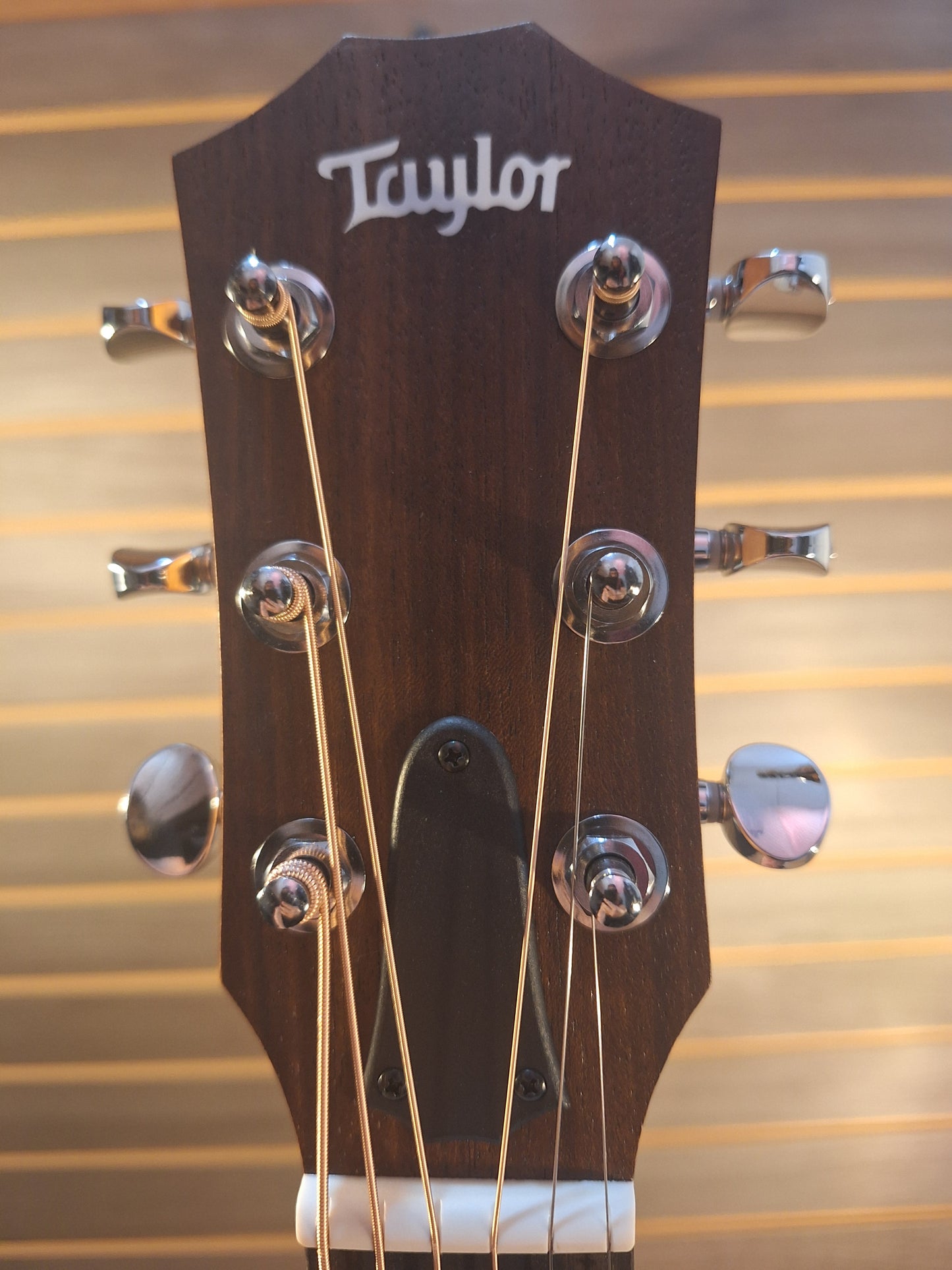 Taylor GS Mini Special Edition G4V American With Premium Gig Bag #5163