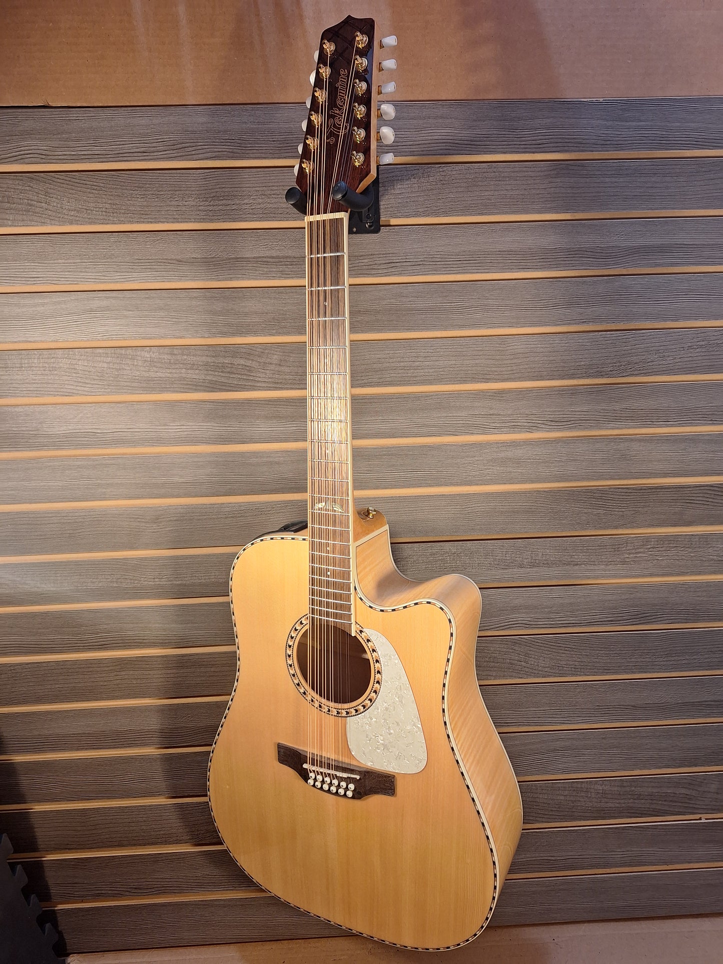 Takamine GD74CE-12U Natural With Gig Bag