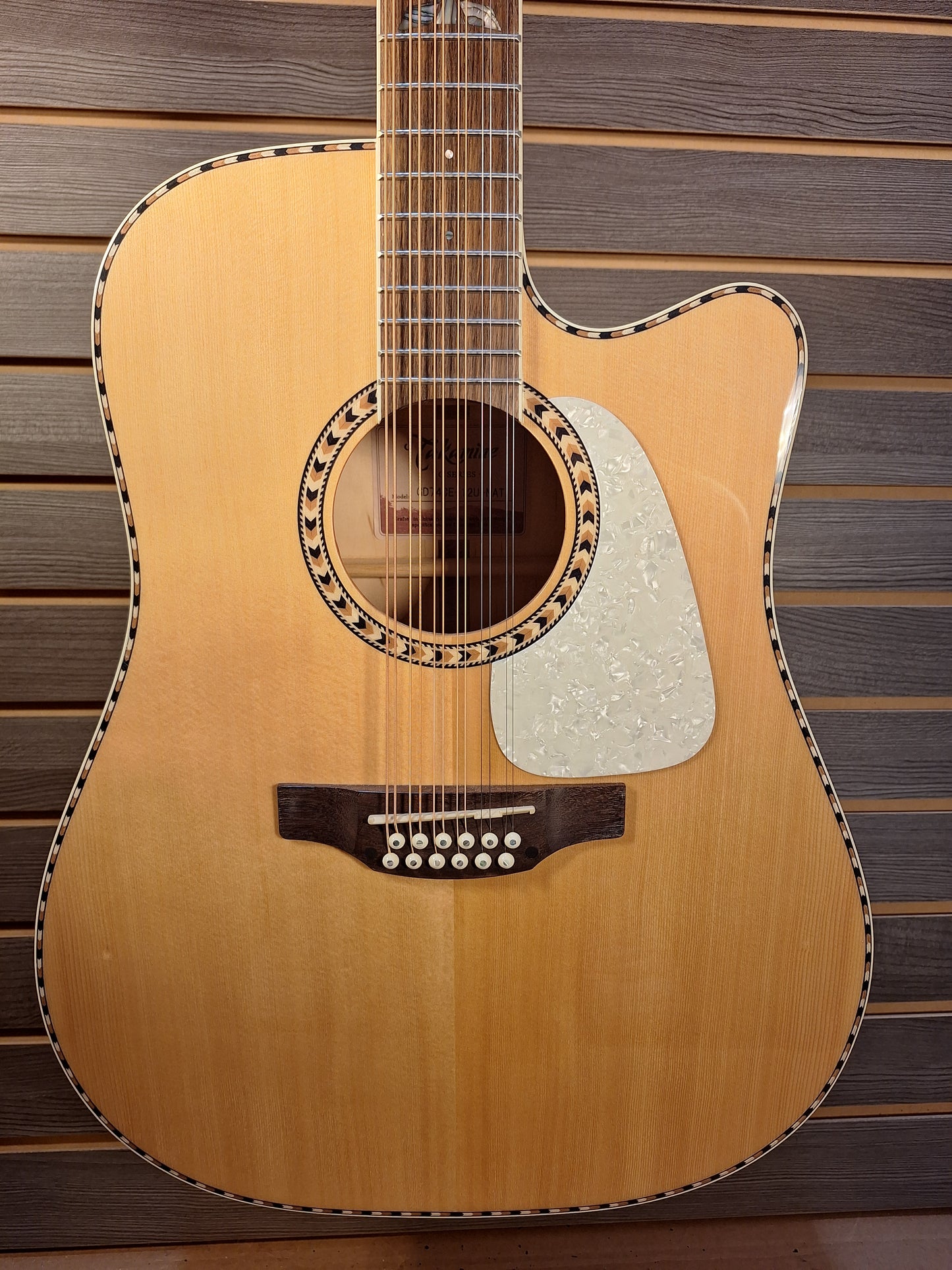 Takamine GD74CE-12U Natural With Gig Bag