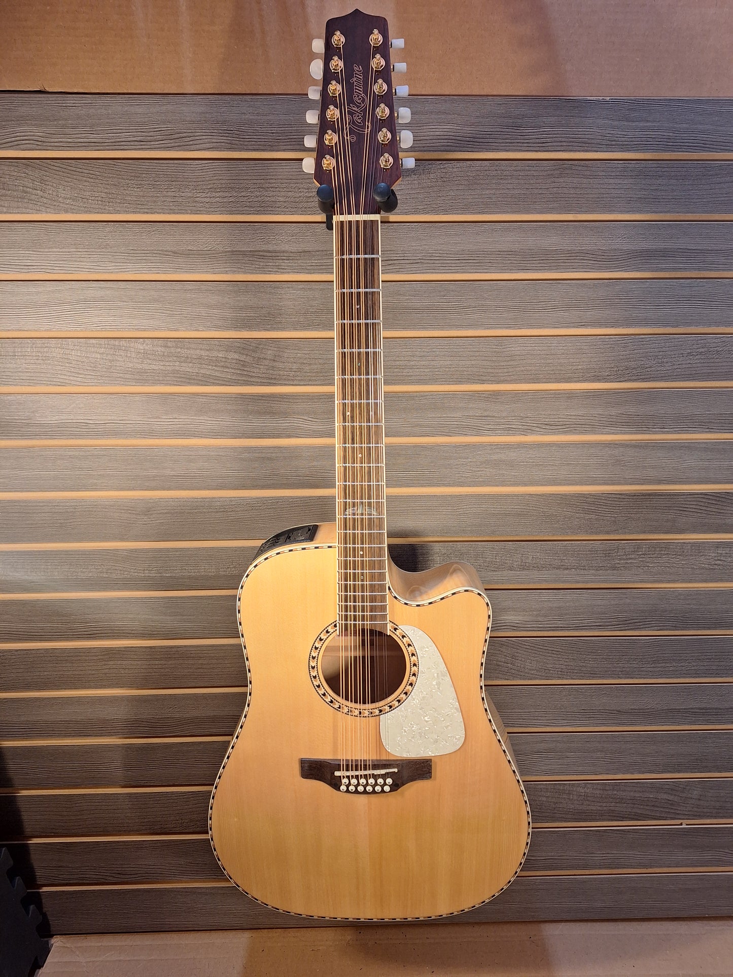 Takamine GD74CE-12U Natural With Gig Bag