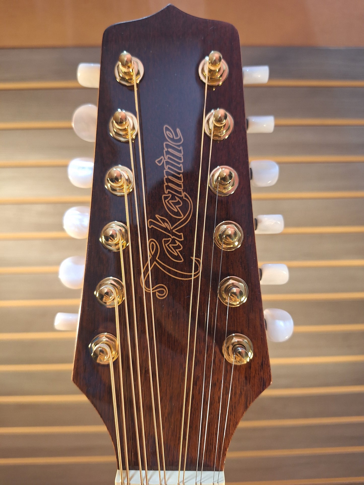 Takamine GD74CE-12U Natural With Gig Bag