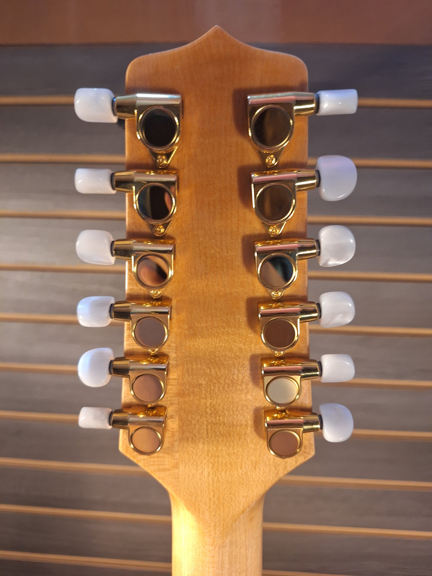 Takamine GD74CE-12U Natural With Gig Bag