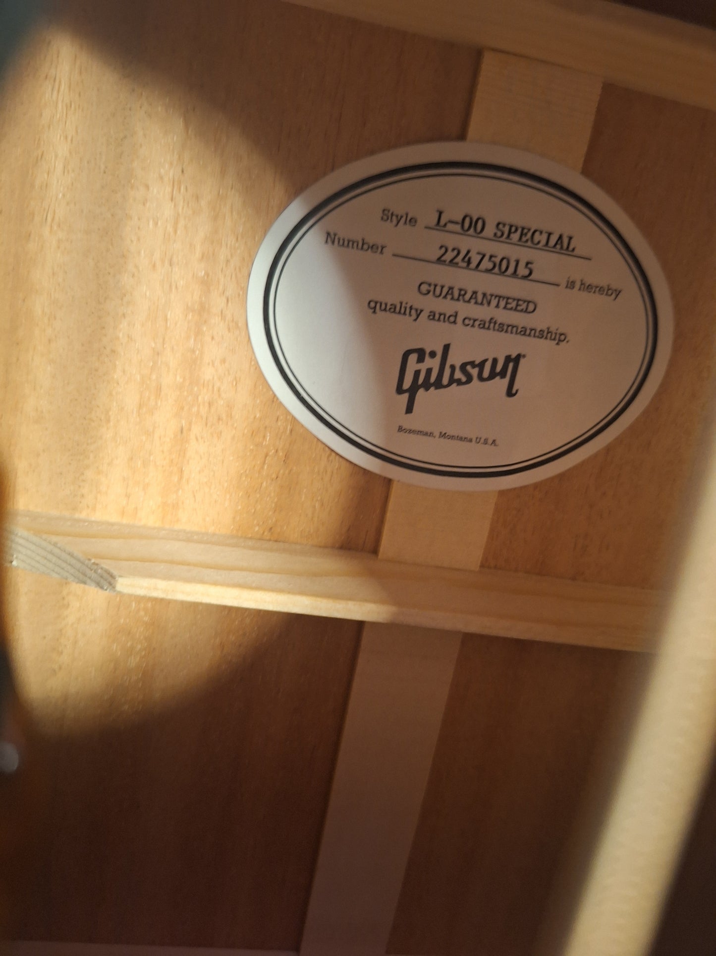 Gibson L-00 Special