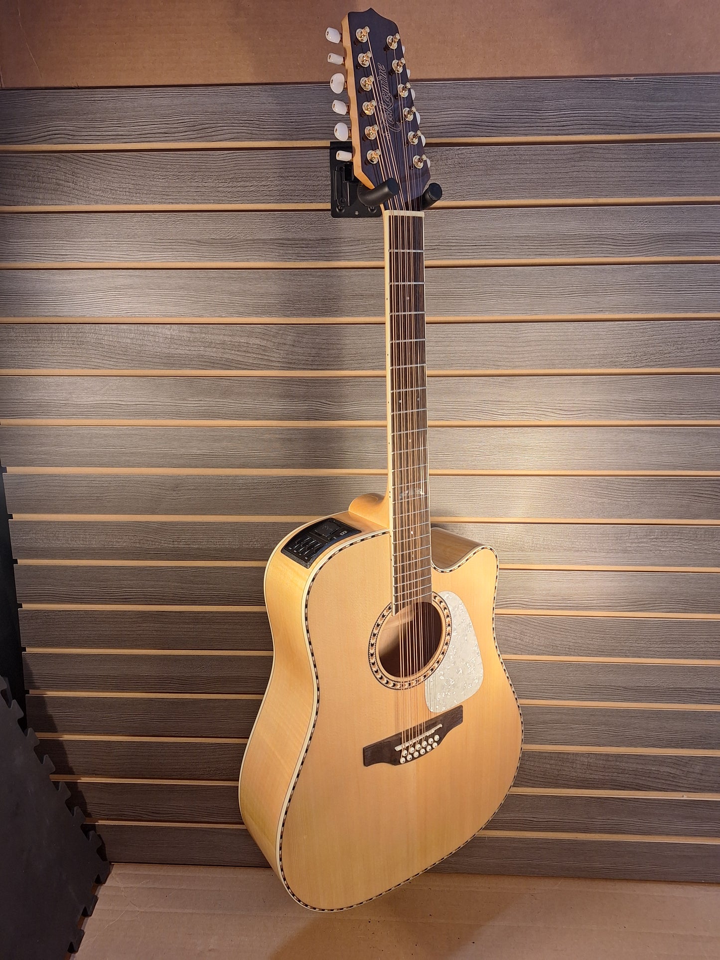 Takamine GD74CE-12U Natural With Gig Bag