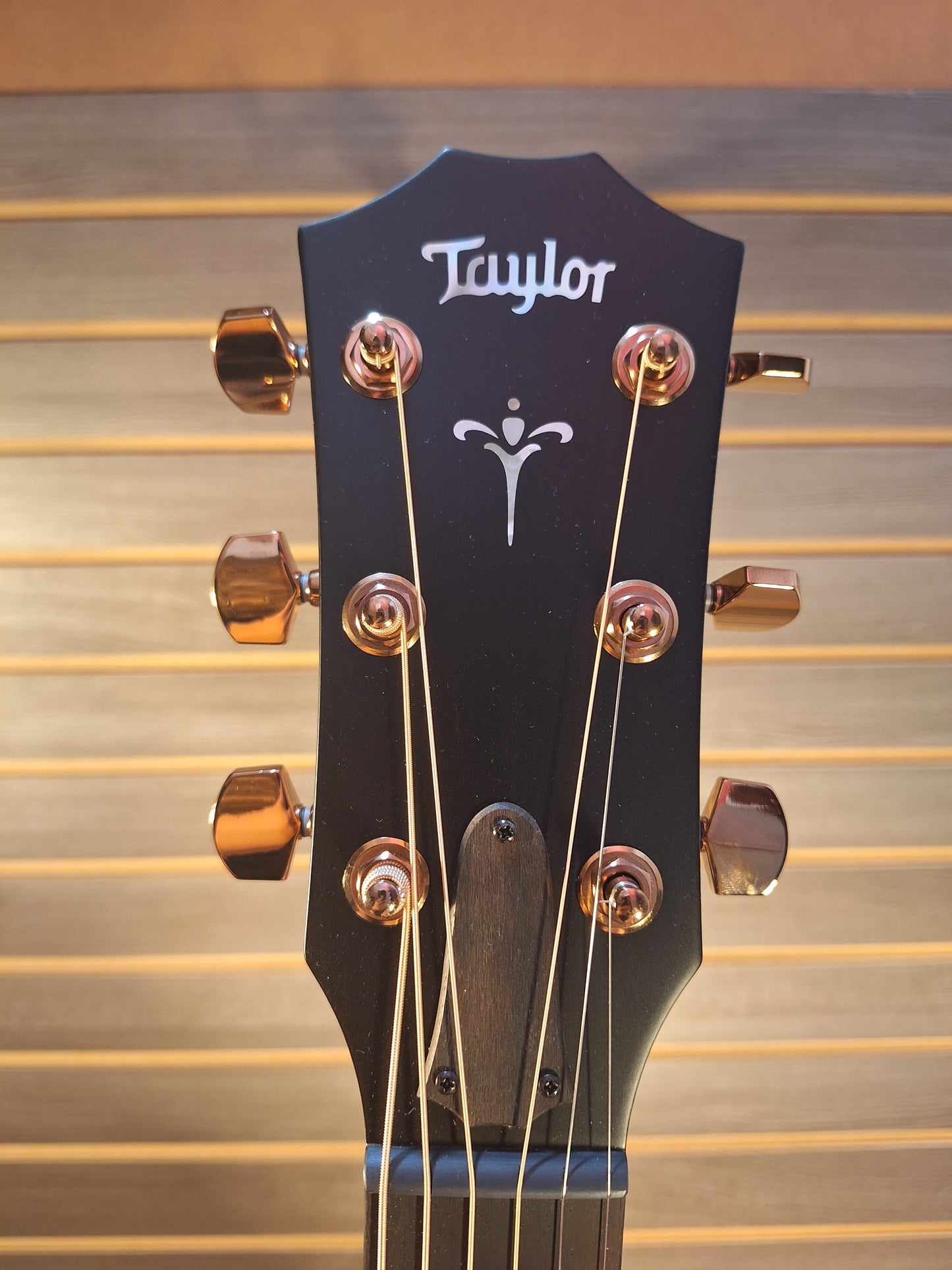 Taylor 724ce Acoustic/Electric Guitar