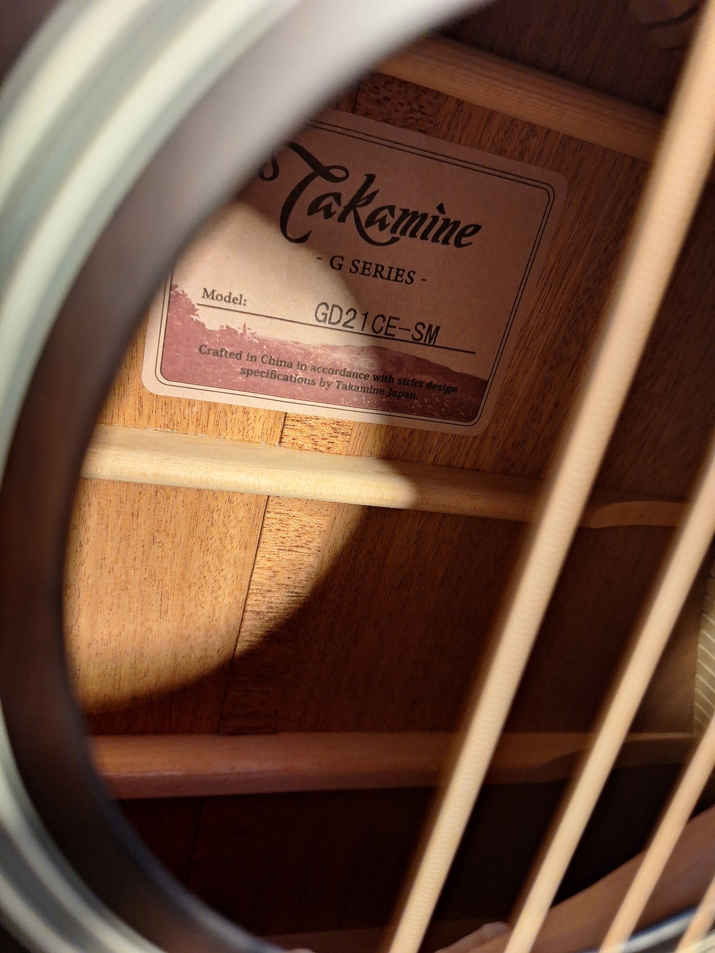 Takamine GD21CE SM G Series