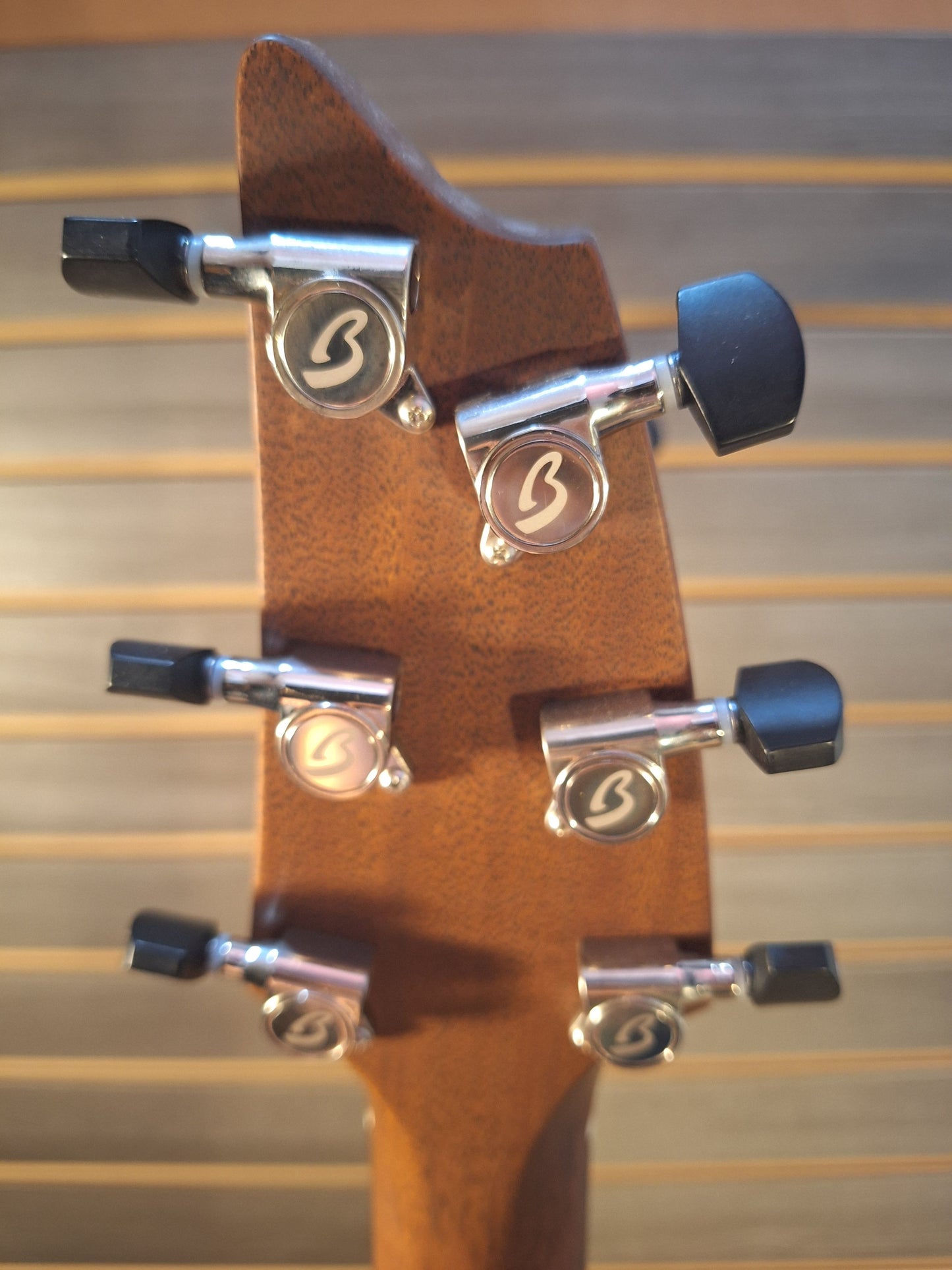 Breedlove Premier Concert Edgeburst CE Redwood-EI Rosewood