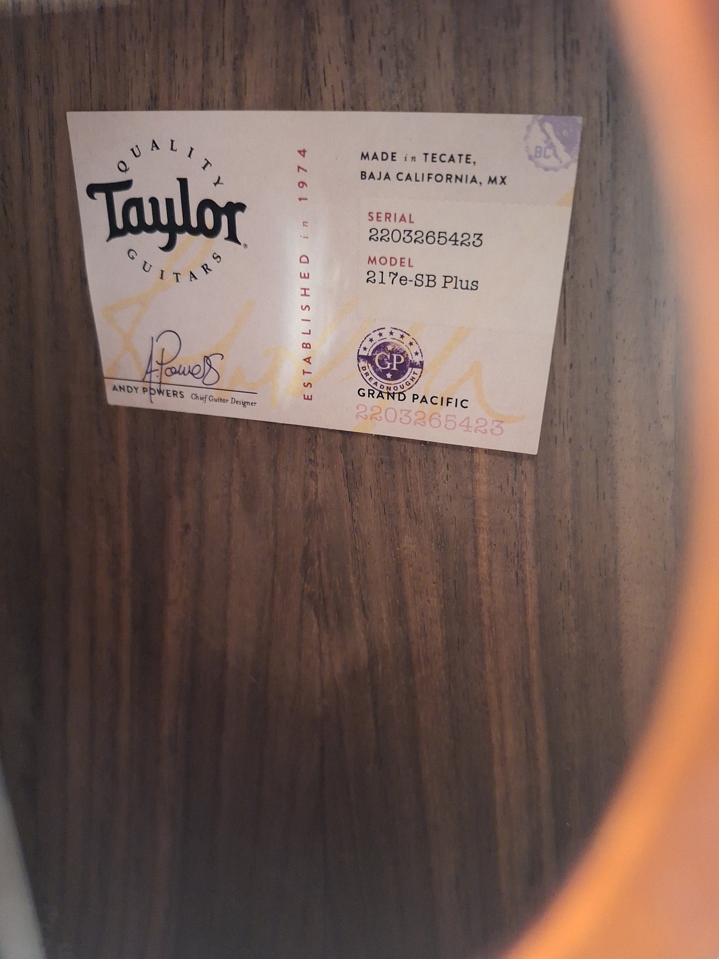 Taylor 217e-SB Plus Acoustic/Electric Guitar