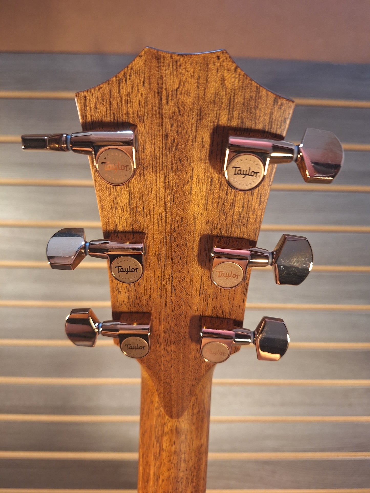 Taylor 724ce Acoustic/Electric Guitar