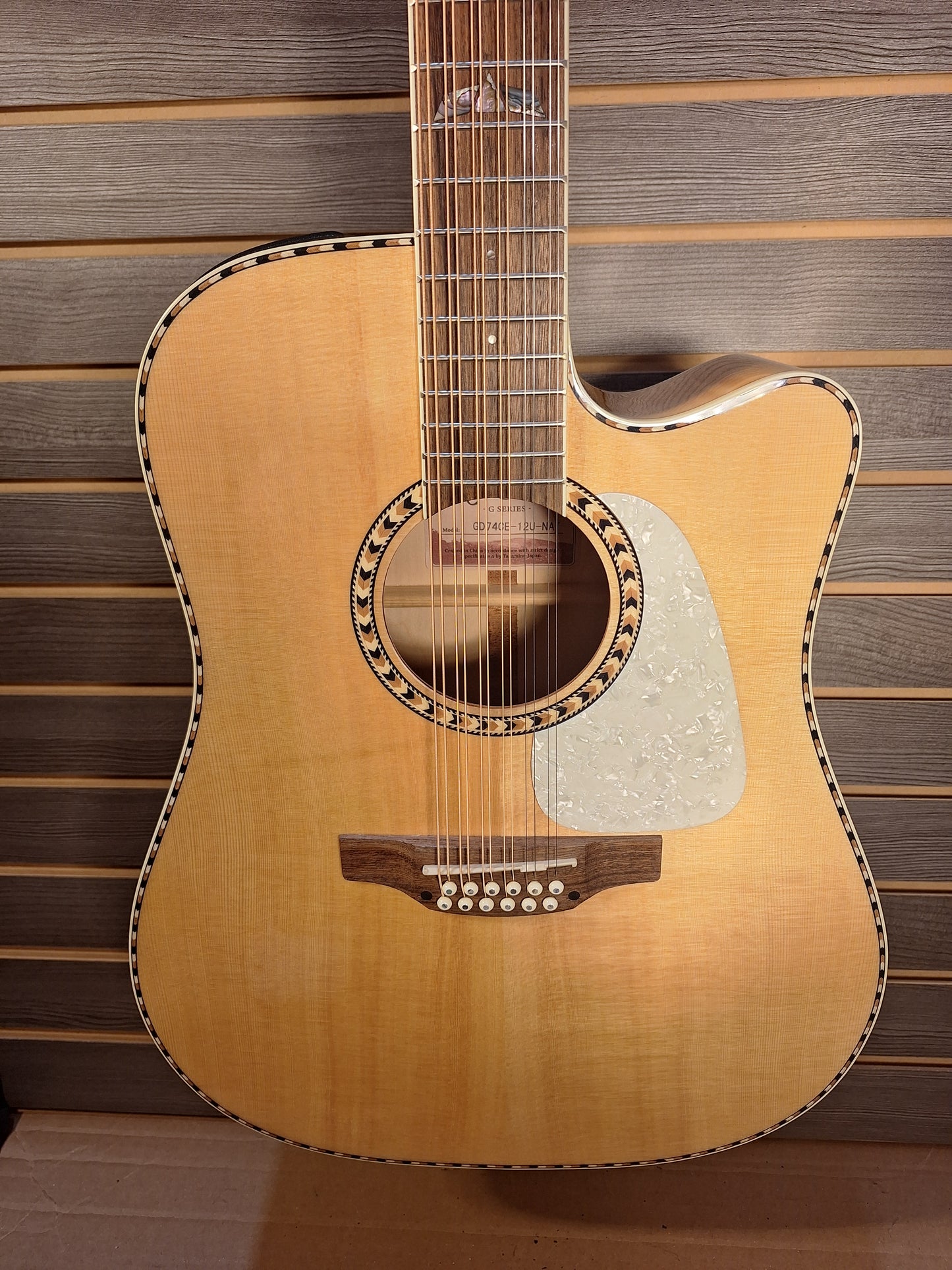Takamine GD74CE-12U Natural With Gig Bag