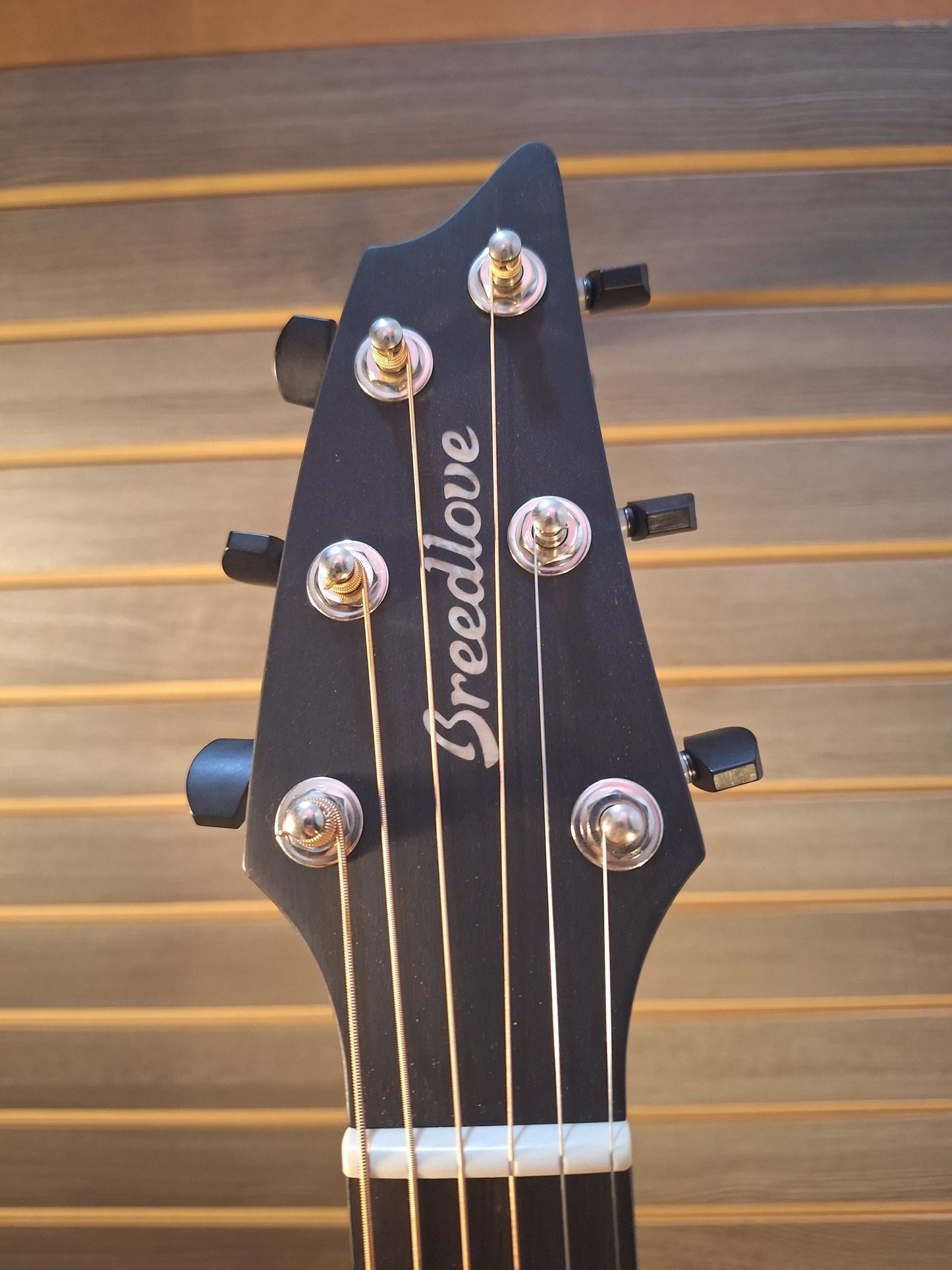 Breedlove Premier Concert Edgeburst CE Redwood-EI Rosewood