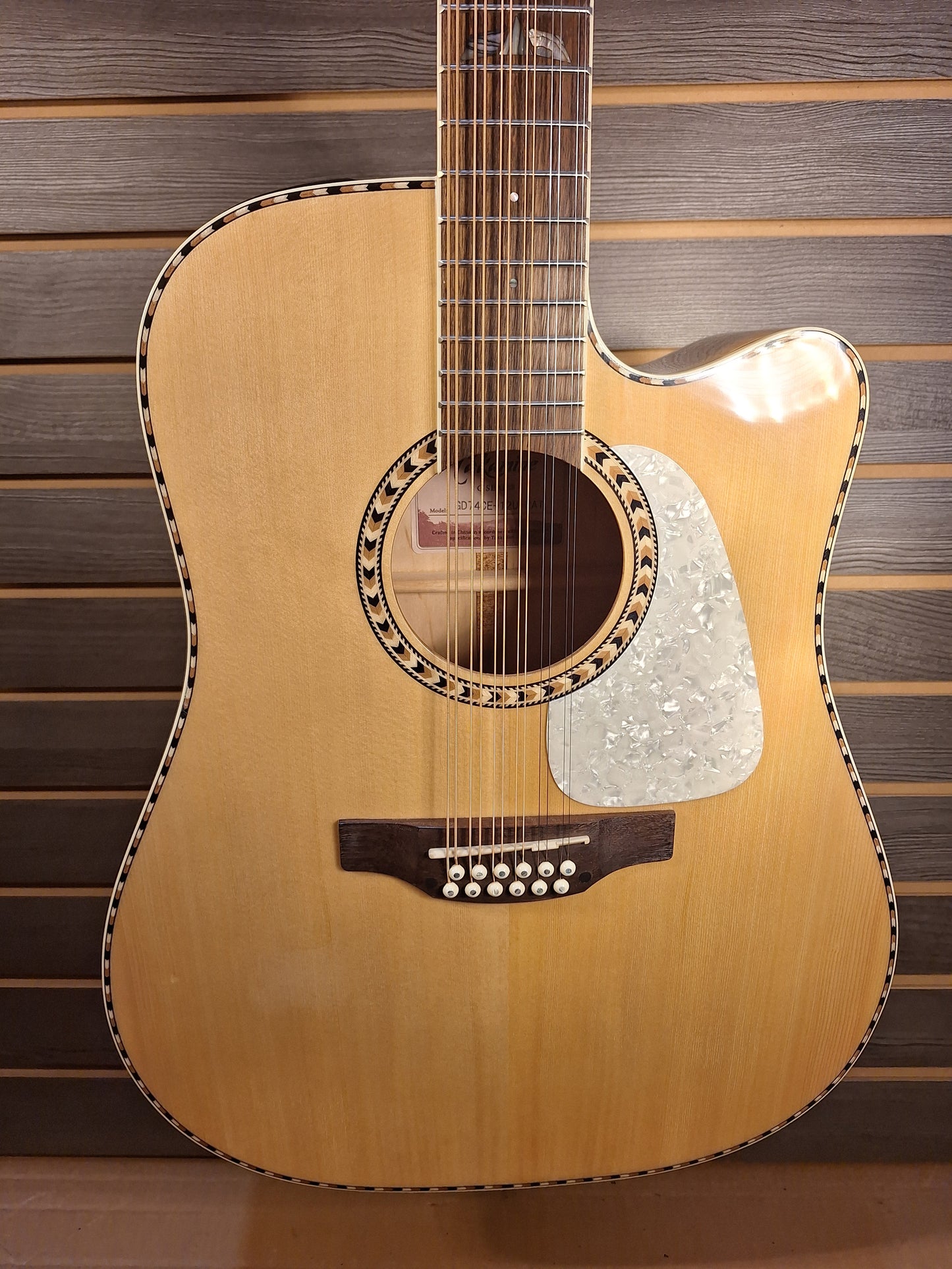 Takamine GD74CE-12U Natural With Gig Bag