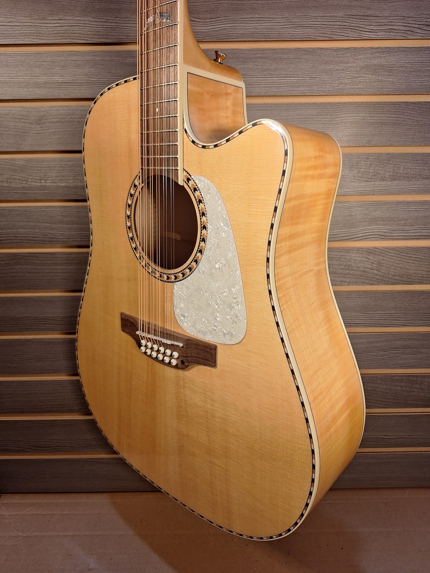 Takamine GD74CE-12U Natural With Gig Bag