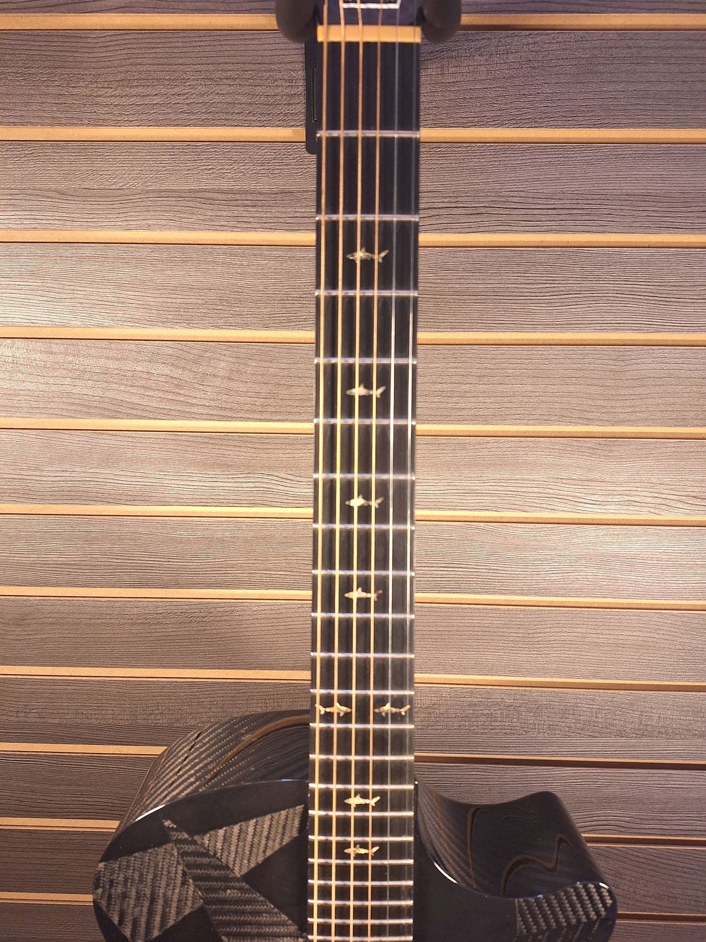 Previously Owned Rainsong BI-OM1000N2 with Iriginal Hard Case