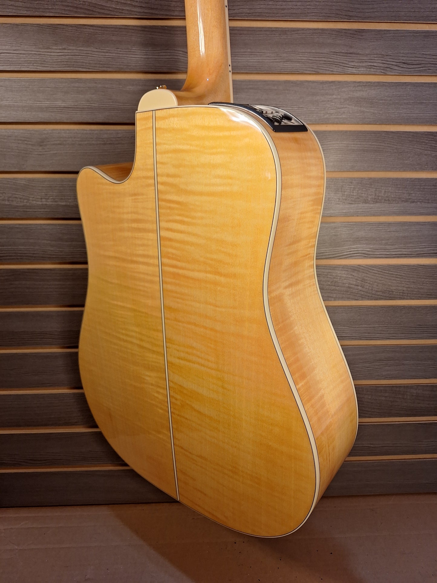 Takamine GD74CE-12U Natural With Gig Bag