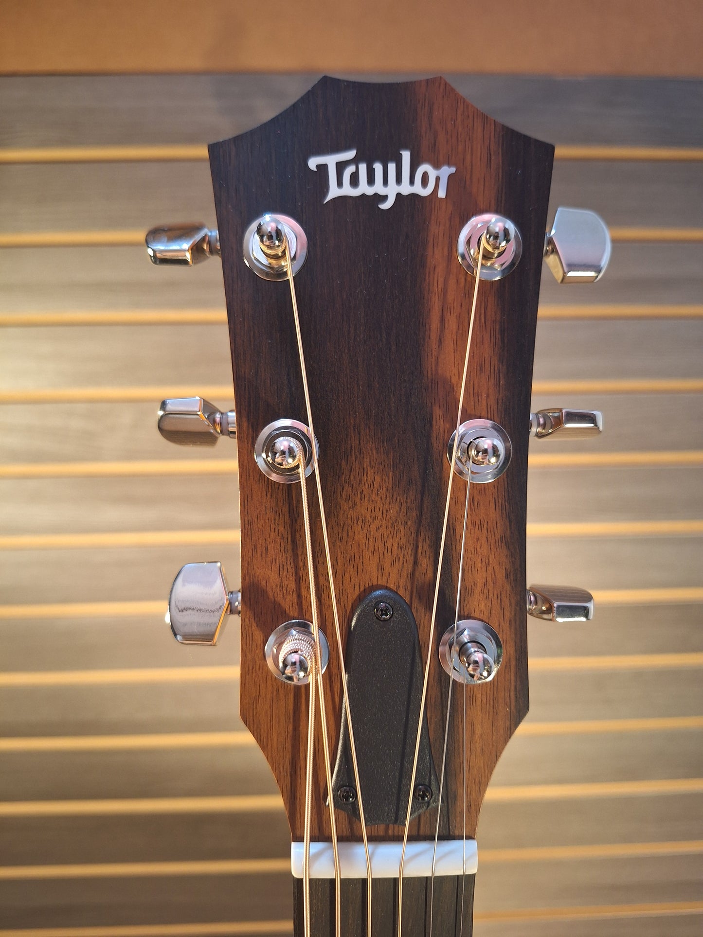 Taylor 217e-SB Plus Acoustic/Electric Guitar