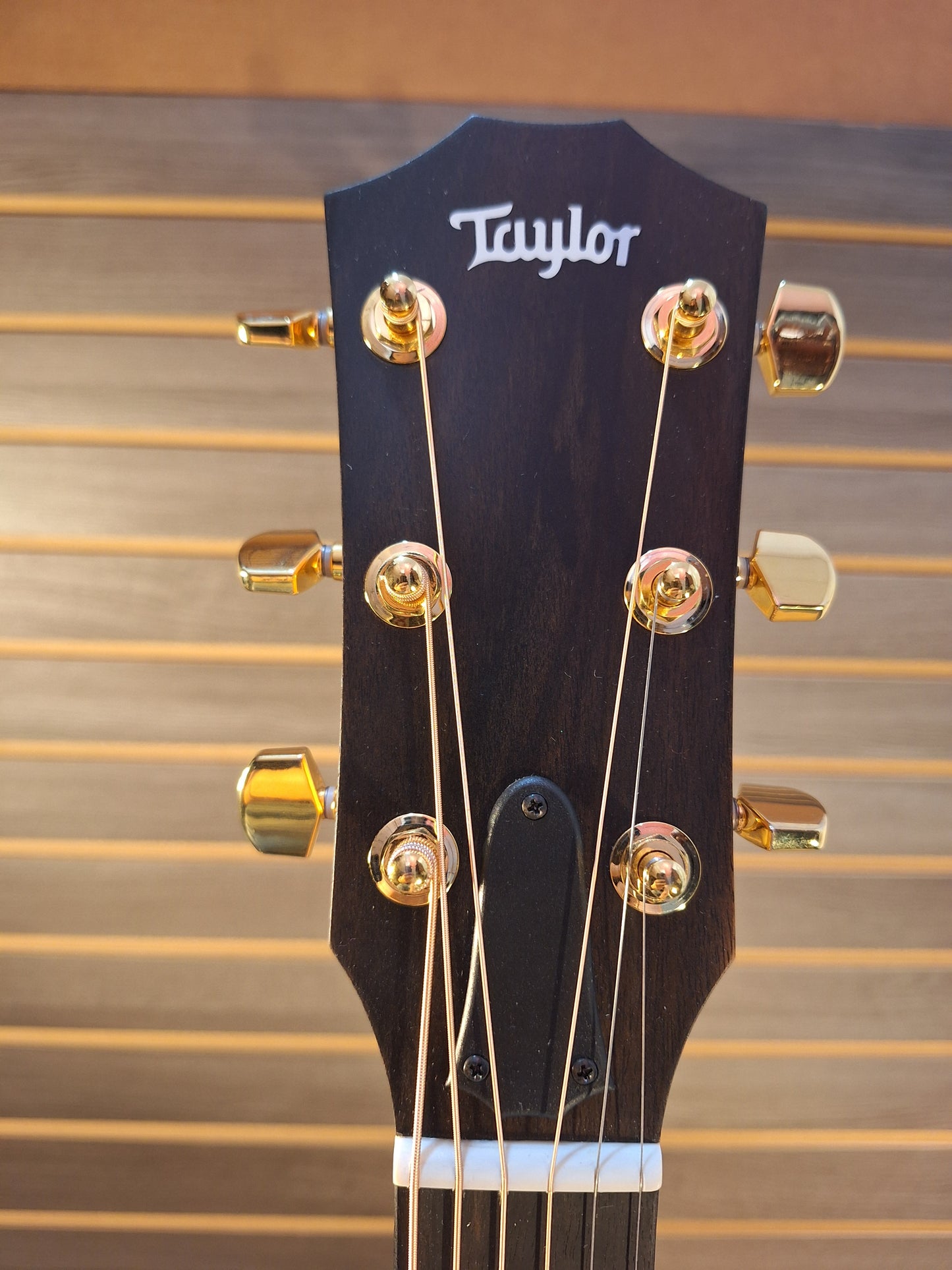 Taylor 224ce-K DLX Acoustic/Electric Guitar with Hard Case