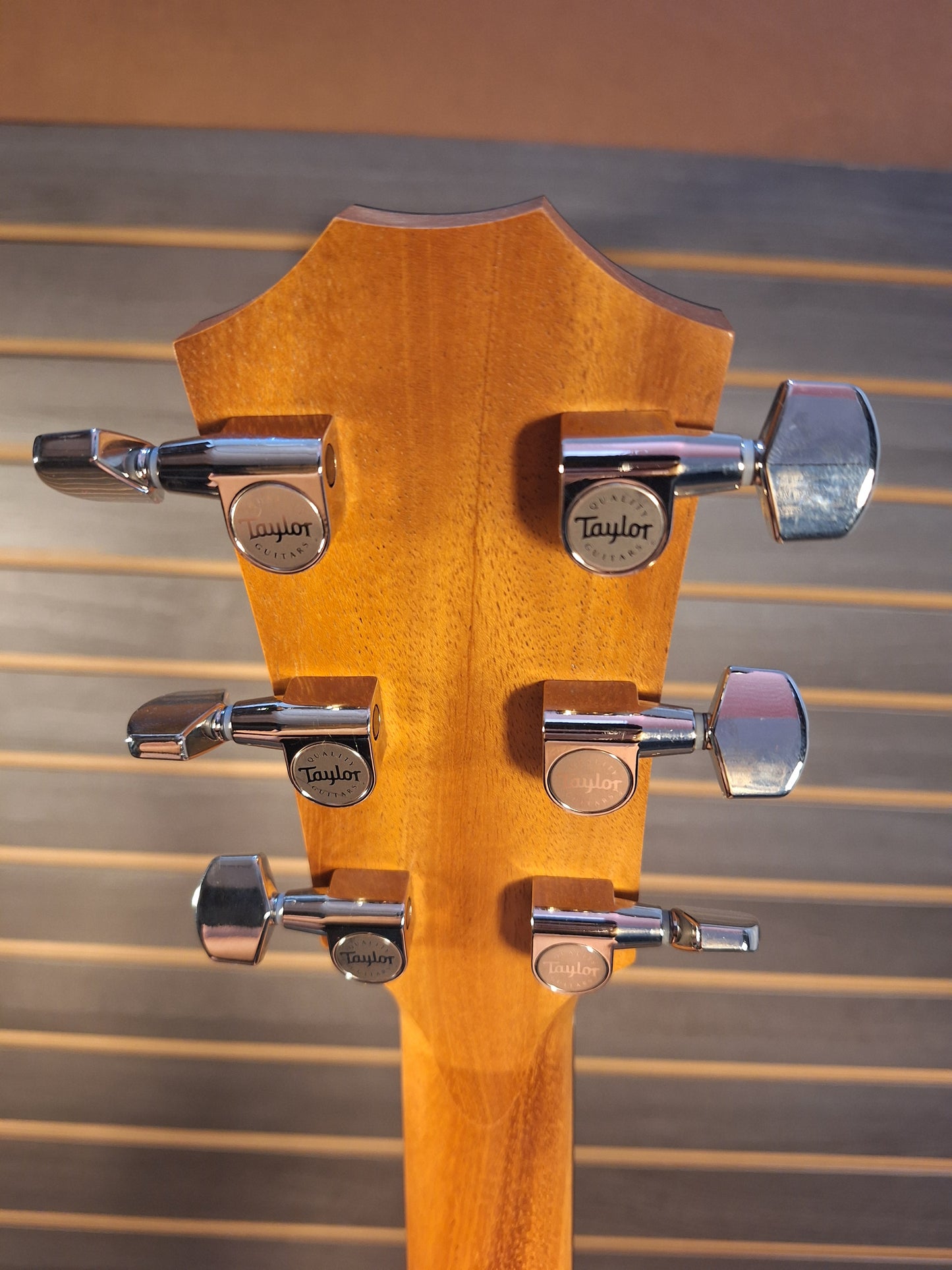 Taylor 214ce Plus Acoustic Electric Guitar