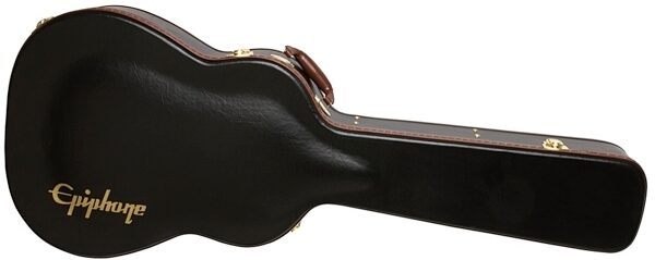 Epiphone Dreadnaught Case EDREAD