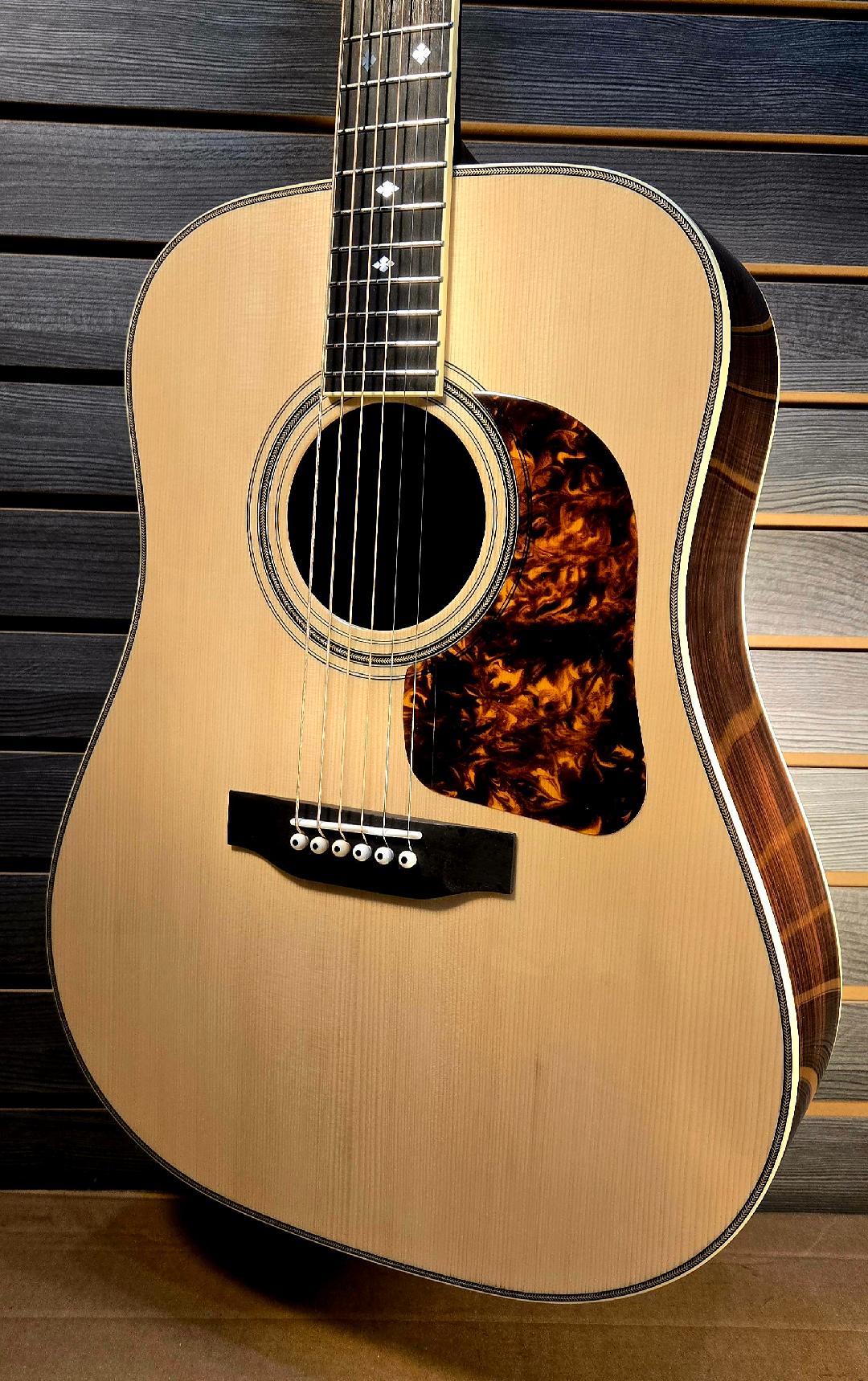 Gallagher G-70 Acoustic Guitar with Hard Case