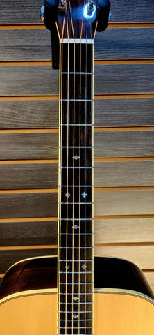 Gallagher G-70 Acoustic Guitar with Hard Case