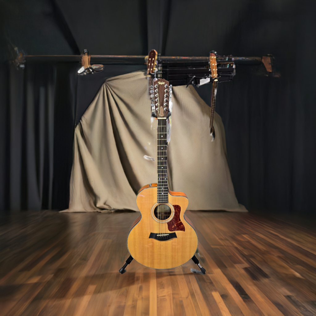 Previously Owned Taylor 12 String 355CE Acoustic/Electric Guitar