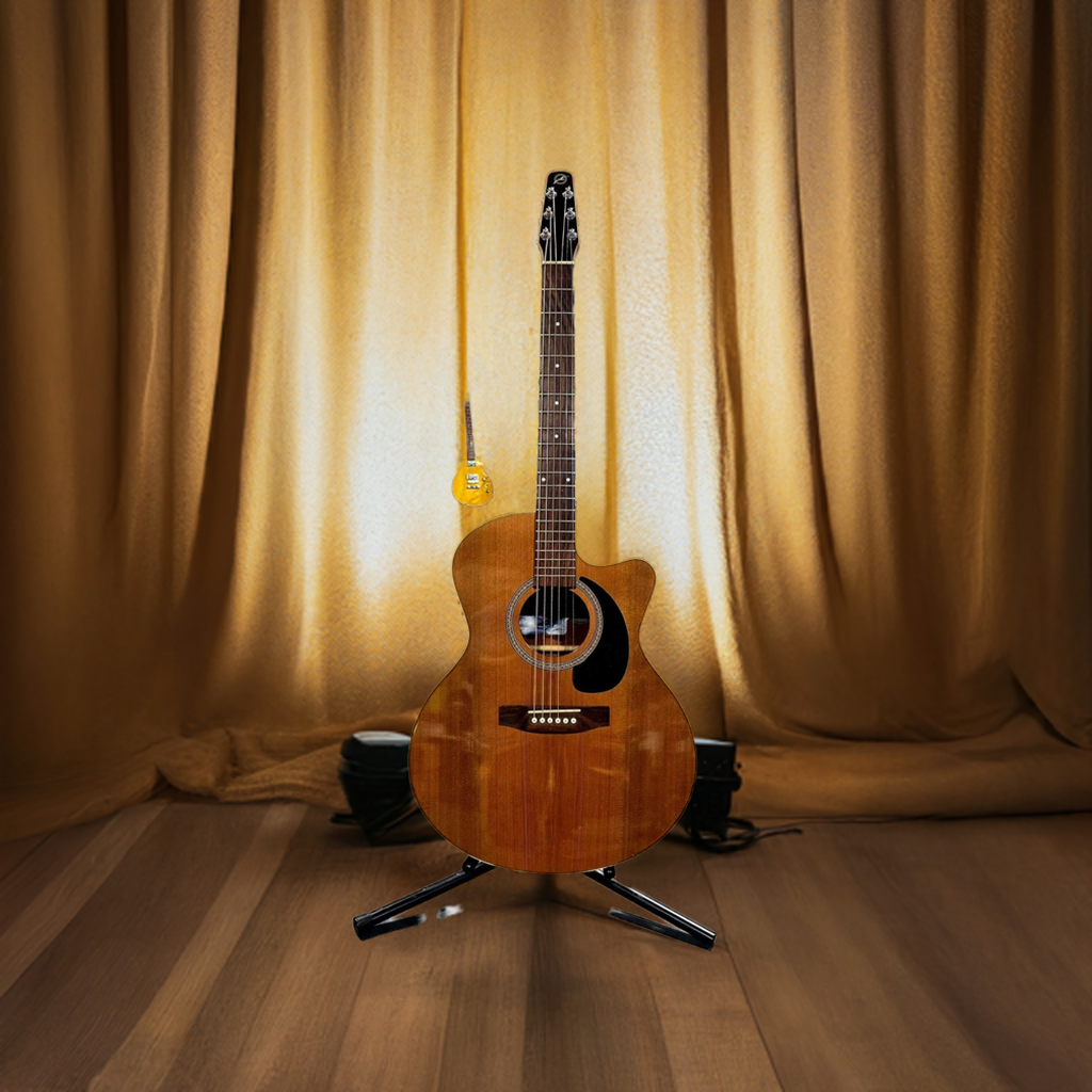 Previously Loved Seagull M Series Acoustic/Electric Guitar With Case