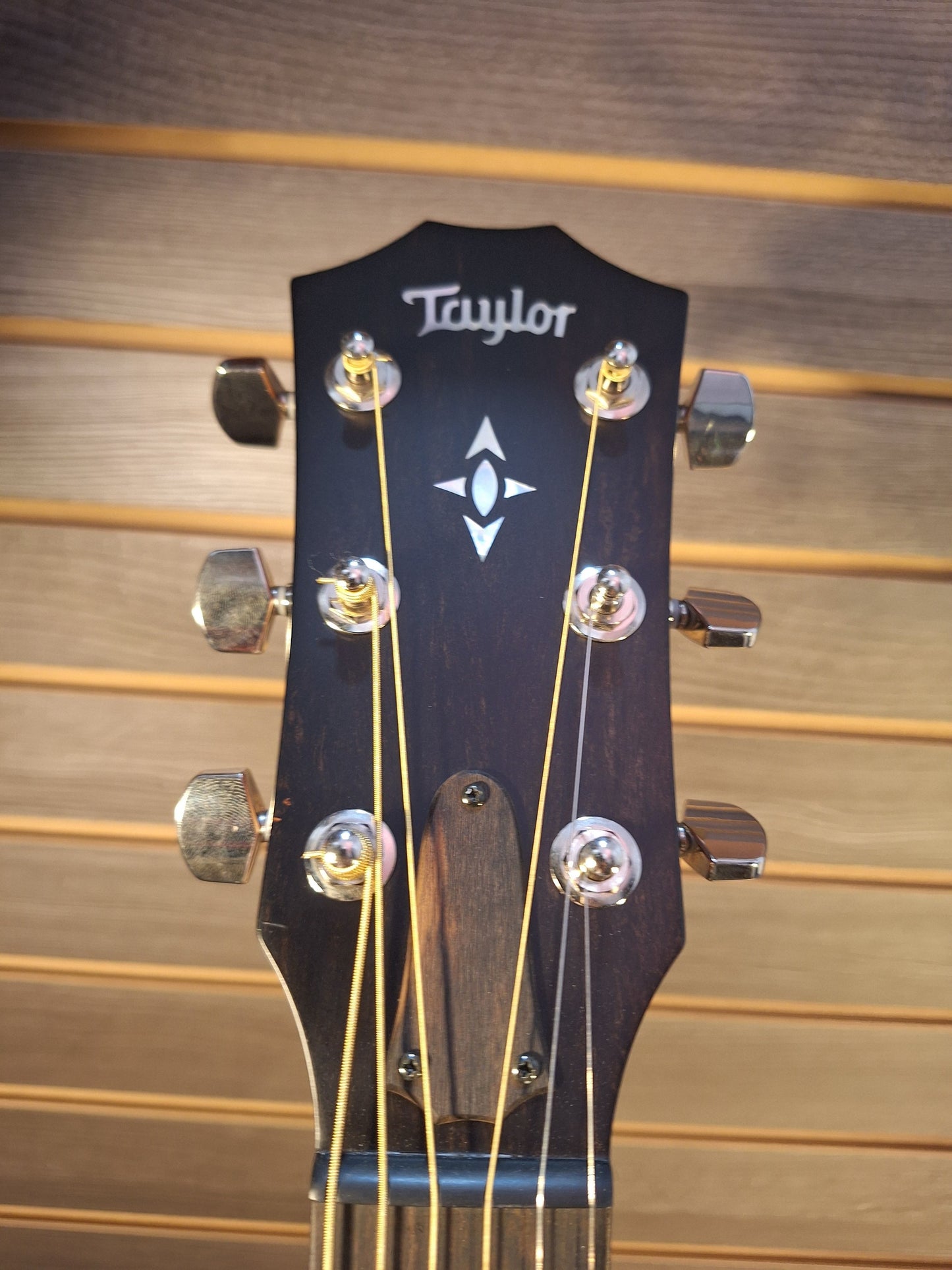 Previously Owned Taylor Builder's Edition 717E (Case Included)