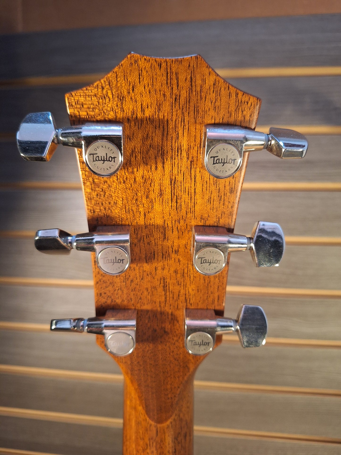 Previously Owned Taylor Builder's Edition 717E (Case Included)