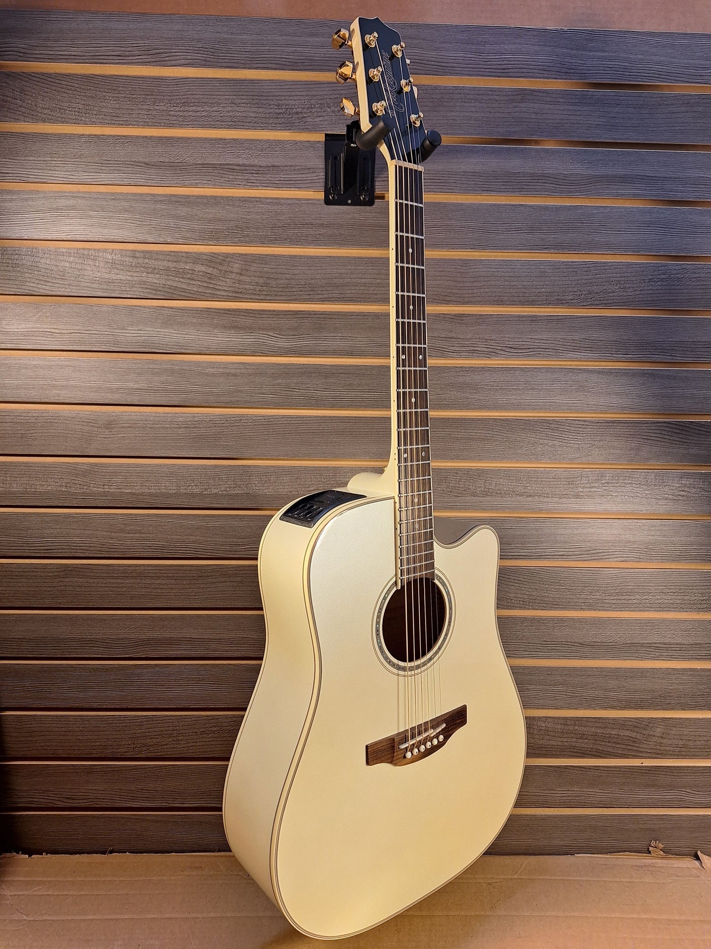"Used" Takamine GD37-CE-PW Acoustic/Electric Guitar with Gig Bag