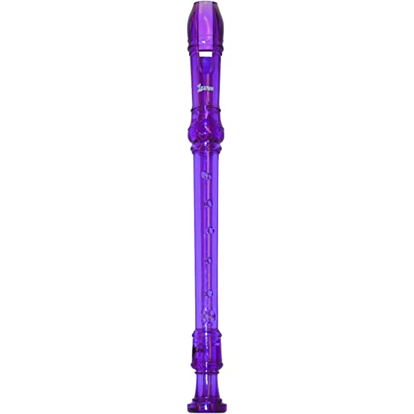 Candy Apple Recorder Purple